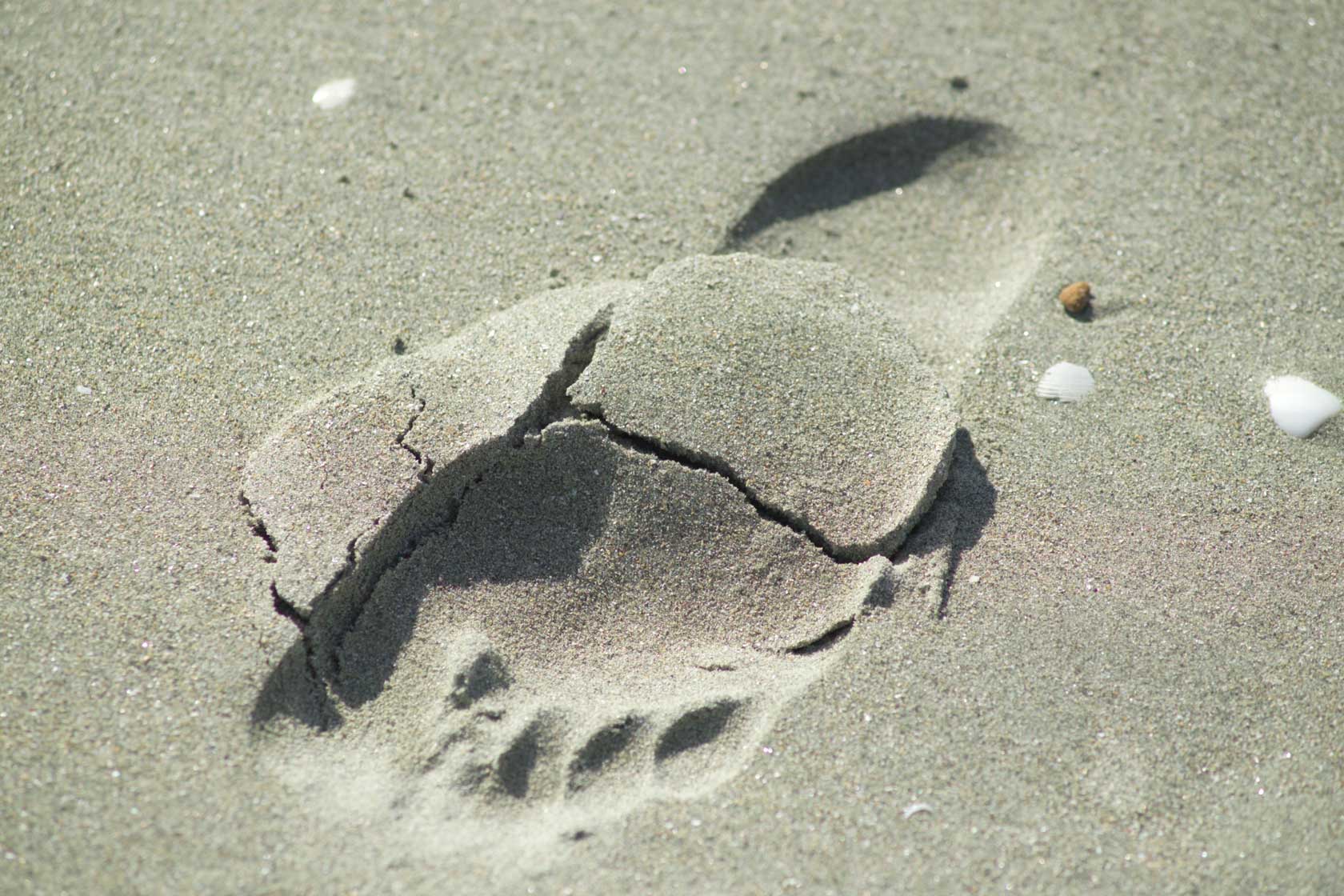 Footprint-in-sand.jpg