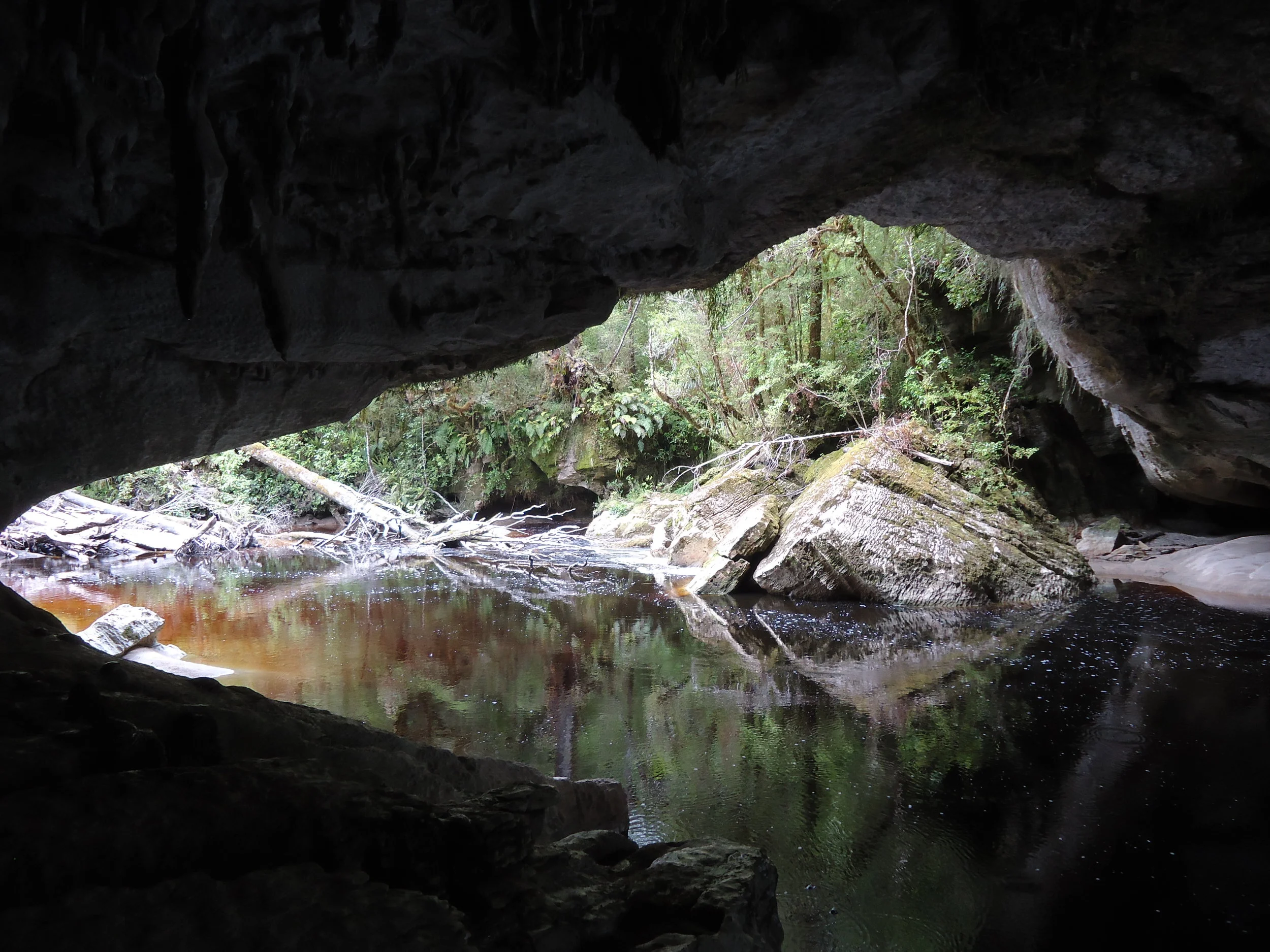 History of the Oparara The Oparara Guided Tours