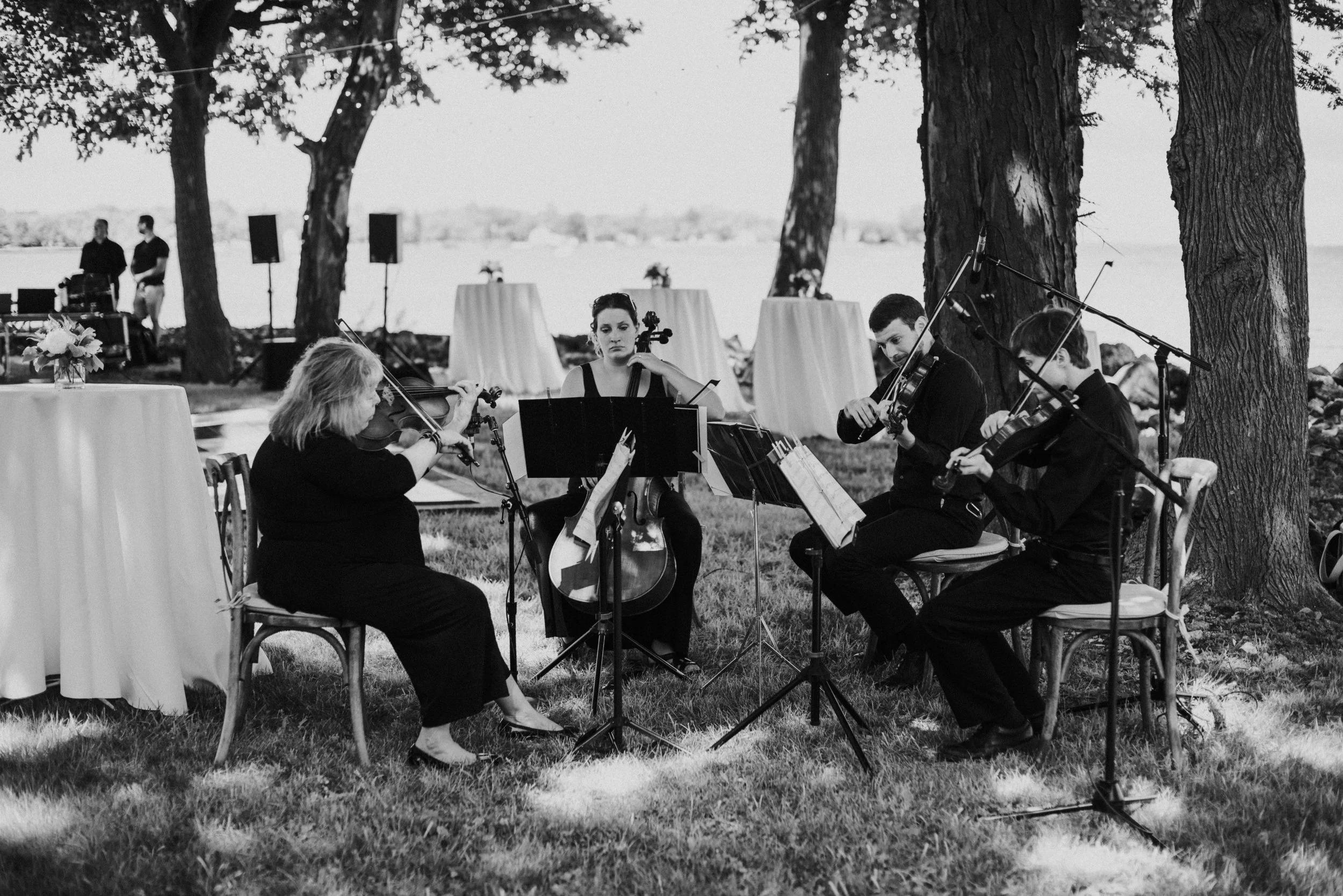 White Pines Entertainment string quartet performing during the ceremony. Image by Aster + Olive Photography