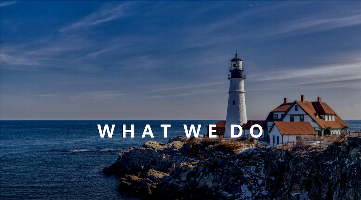 what we do option 1.png