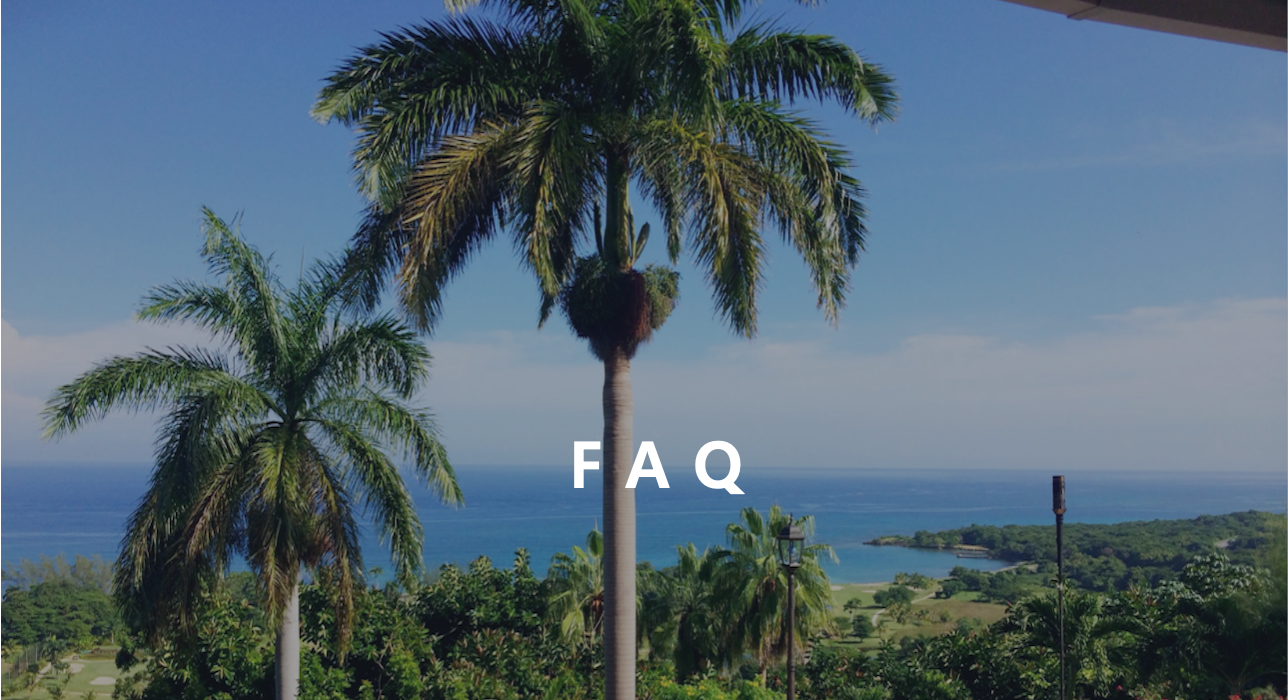 faq option 1.png
