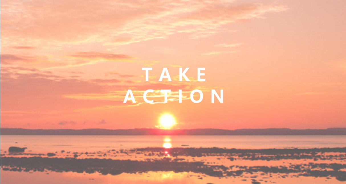 take action option 2.png