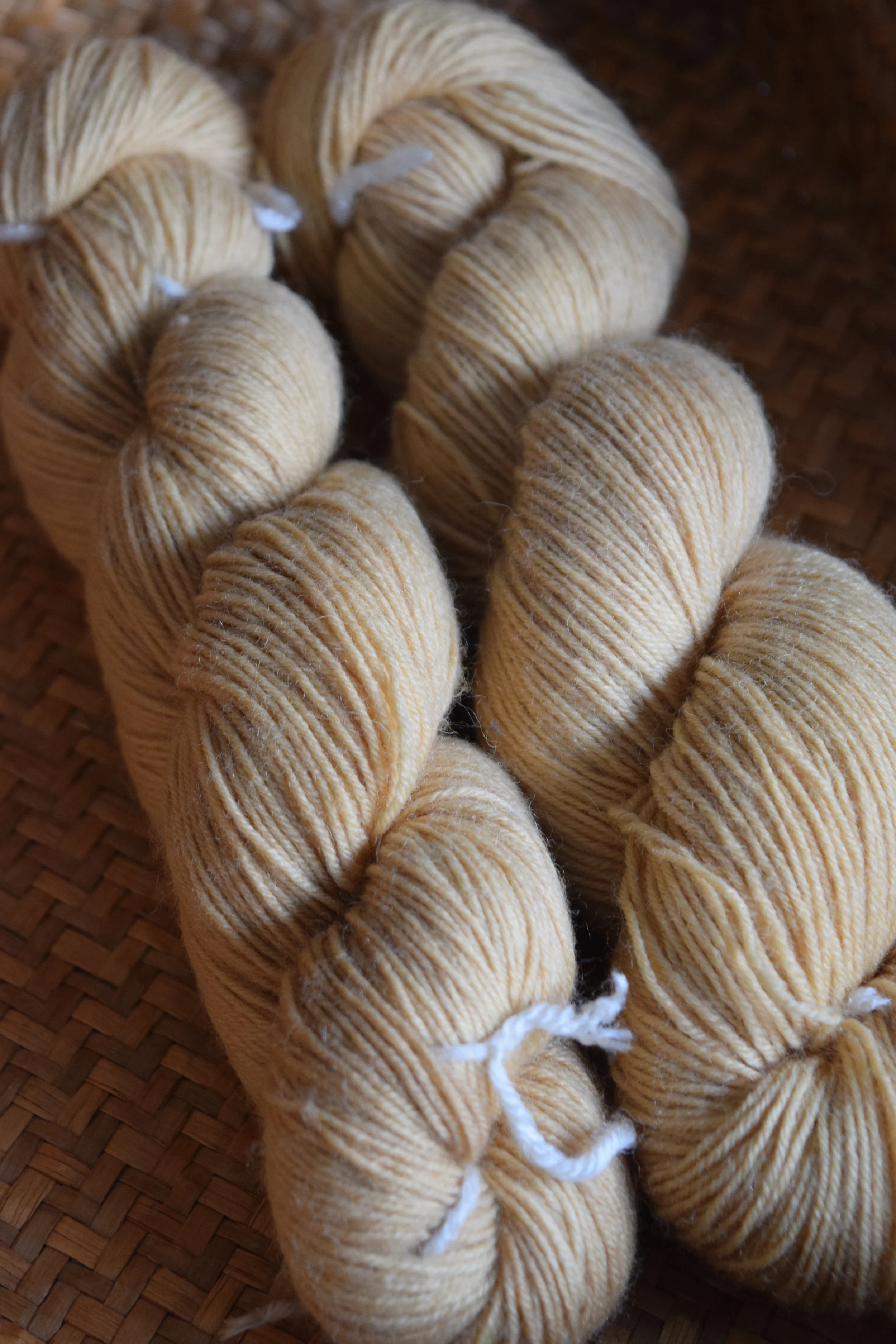 Yarn - Sock Weight - Harvest