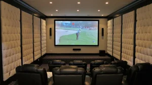 Home theater setup