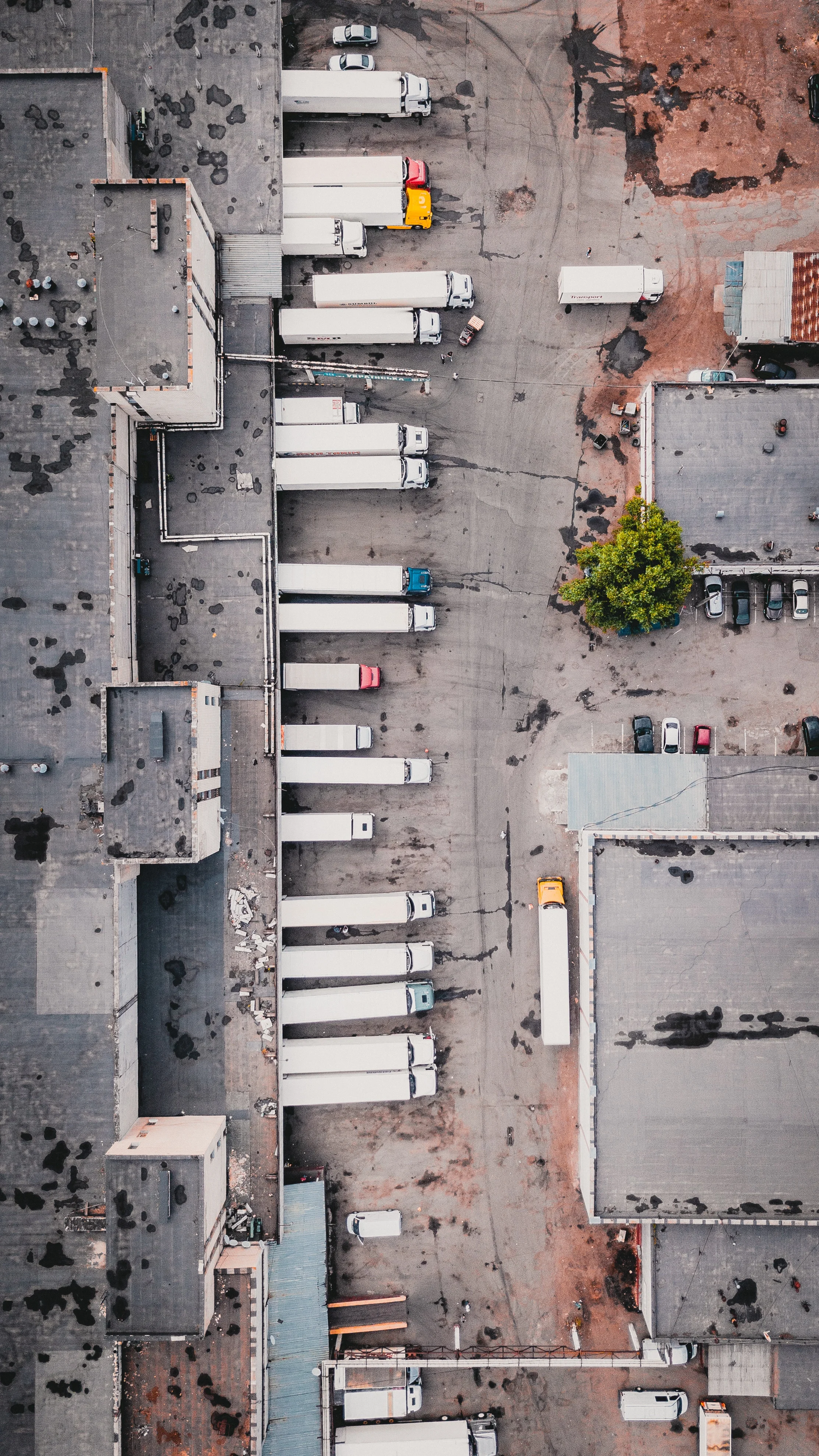 ivan-bandura-739702-unsplash.jpg