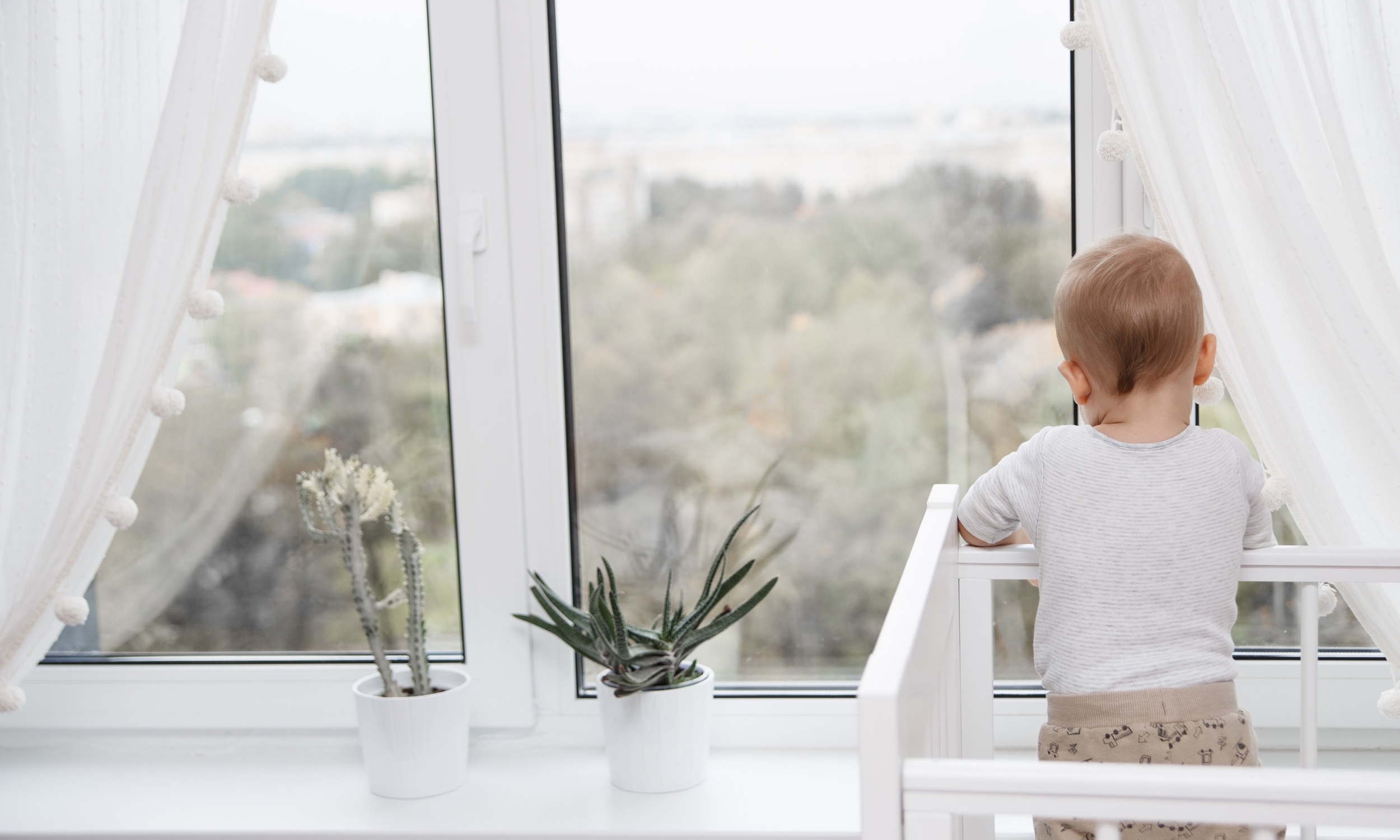 AdobeStock_175262438.jpeg