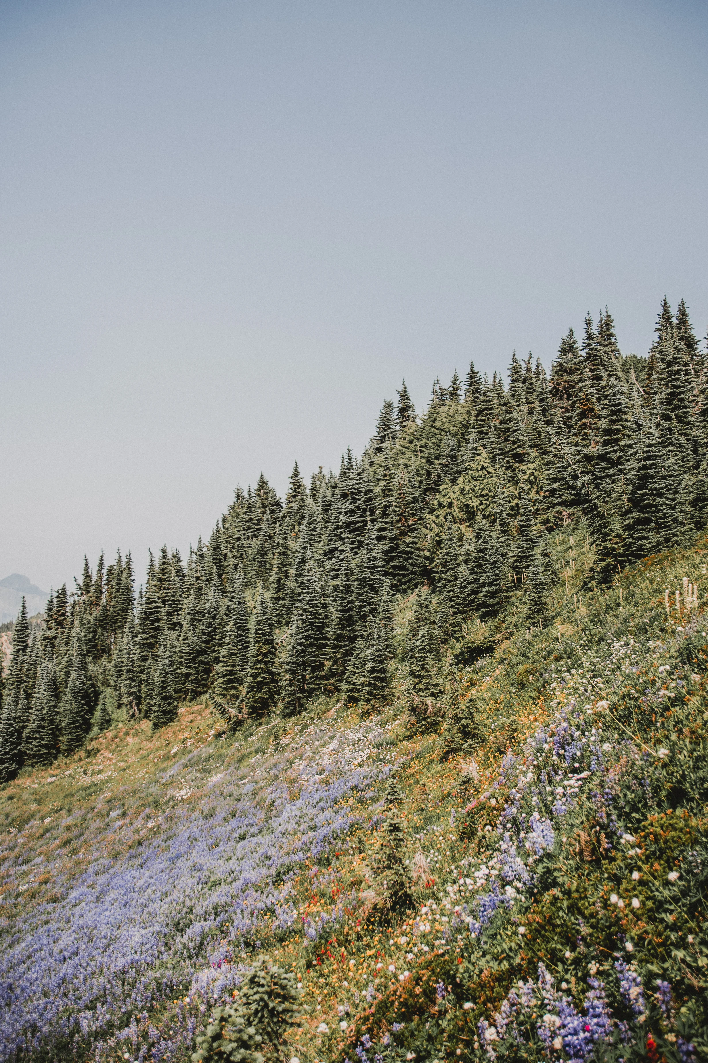 DSC_0714.jpg