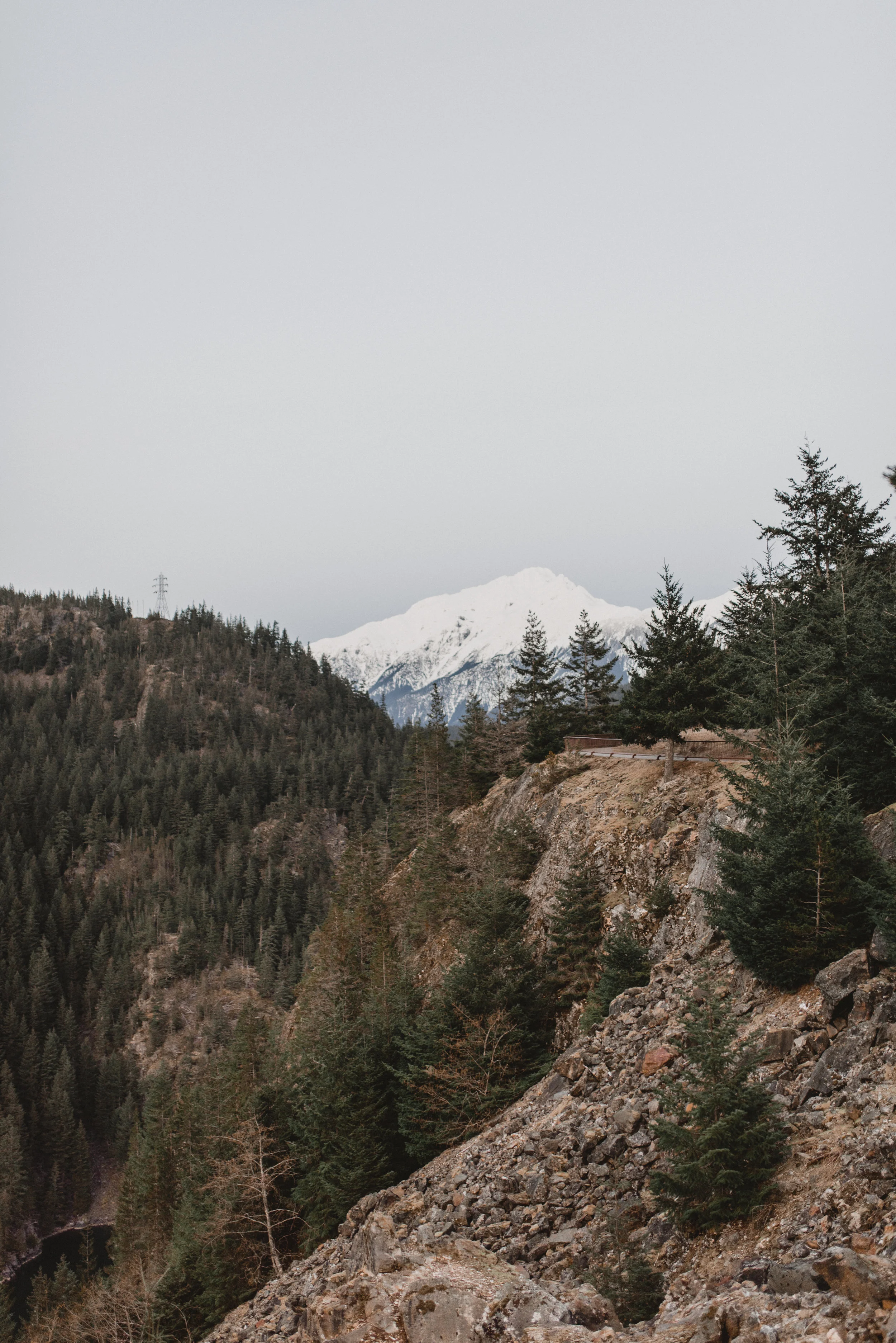 DSC_1006.jpg