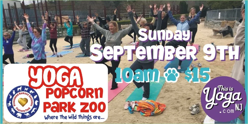 Pop park header september.jpg