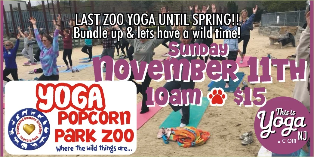 Pop park November.jpg
