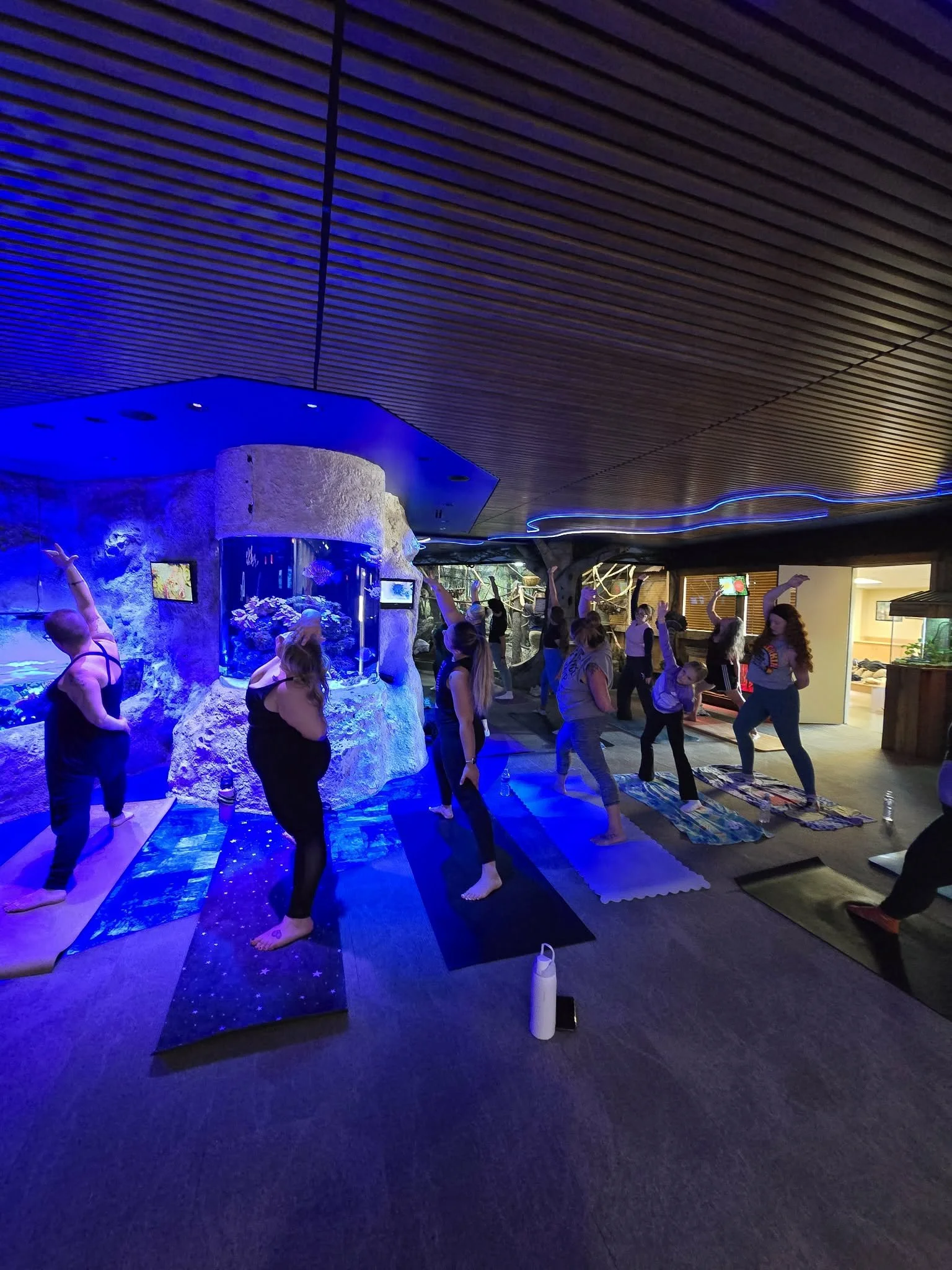 3471569b-9bef-4755-b4ef-9429916ae9dc (1).jpg