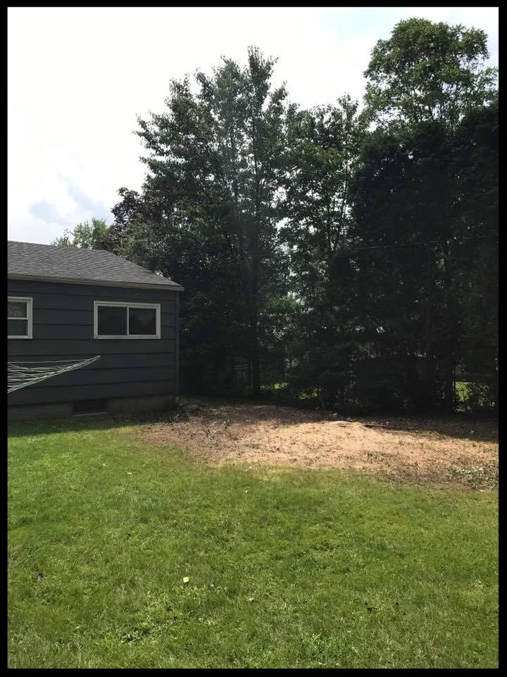 Open Yard.jpg