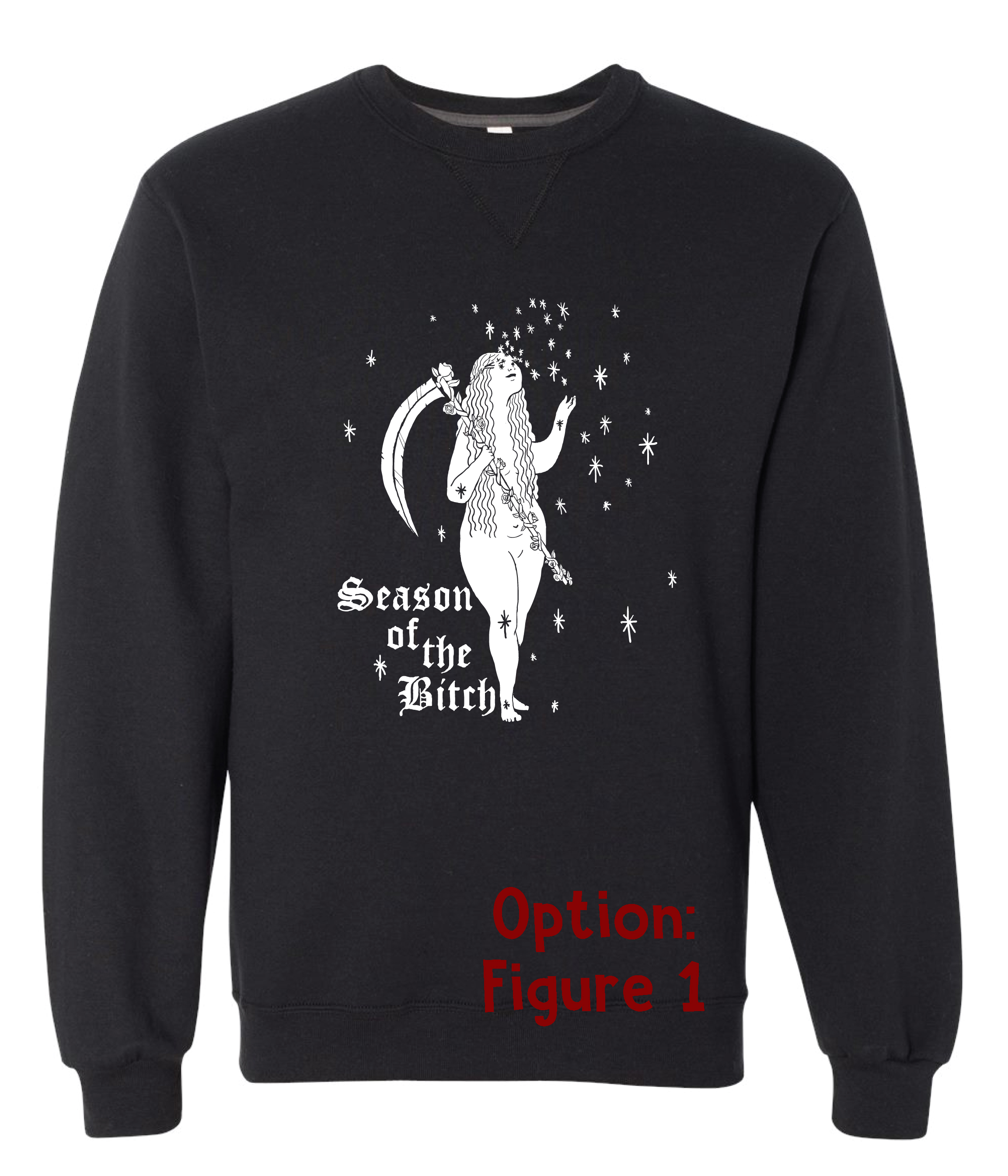 Figure 1 Sweatshirt .jpg