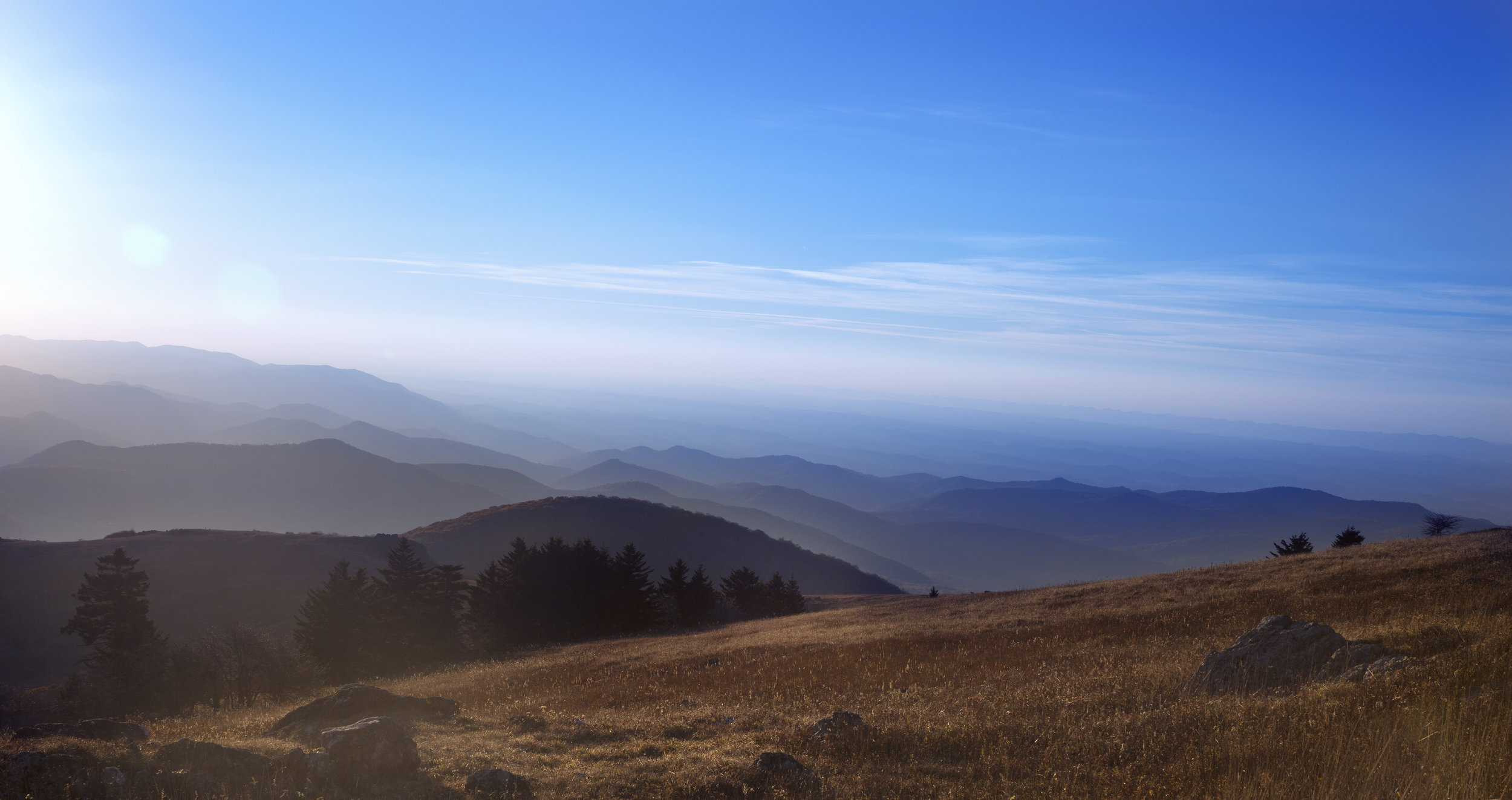 AdobeStock_130946368.jpeg