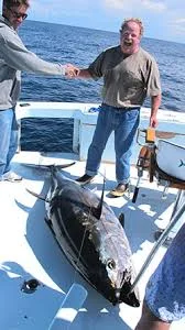 High speed trolling used for the first time on Cape Hatteras