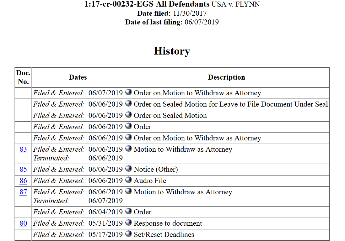 Flynn docket.png