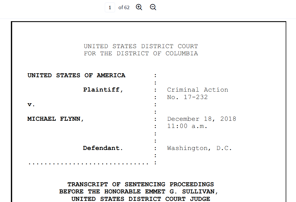 Flynn 62 sentence hearing transcript.png