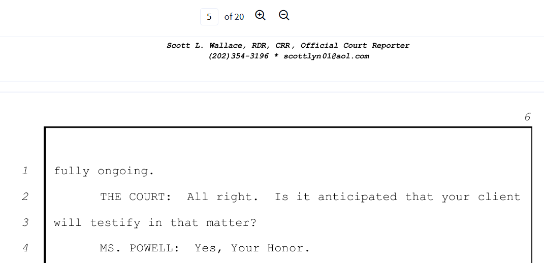 Powell June 24th page six Flynn will testify.png