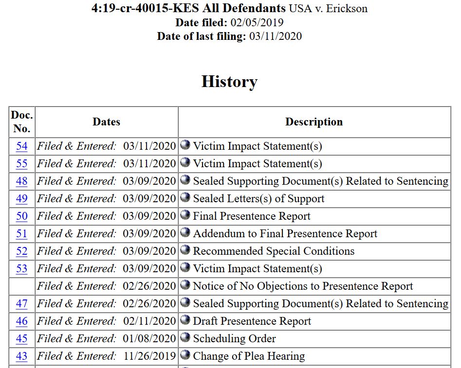 Erickson March 11th 2020 two victim impact statements image docket.png