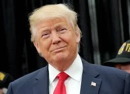 Manafort/Stone to guide Trump's Patriot Party