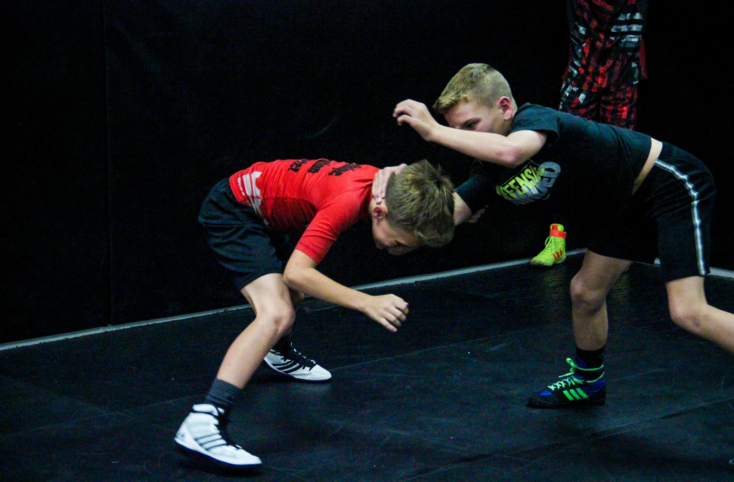 Sanderson Wrestling Academy