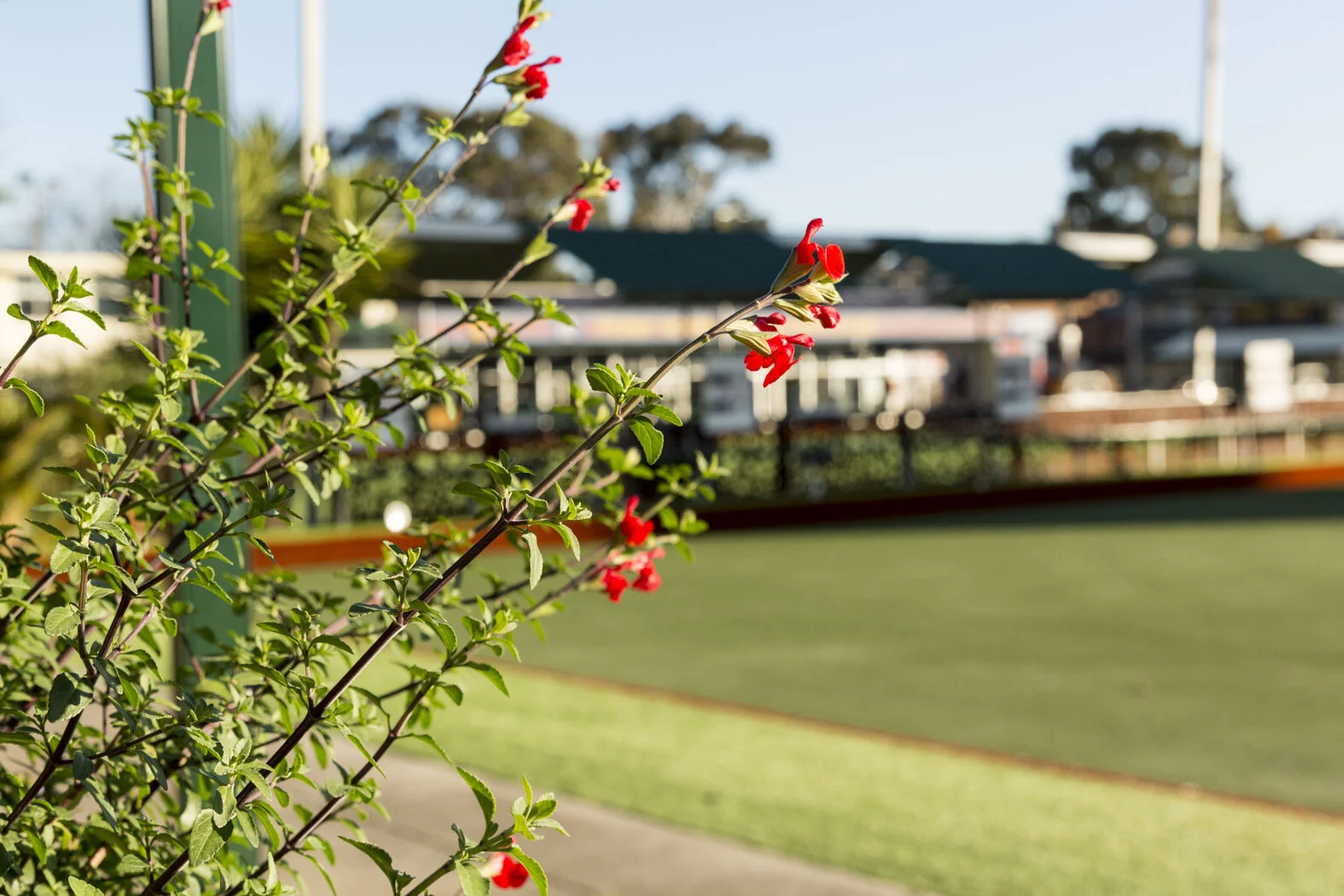 FB_Event Areas 20-24.jpg