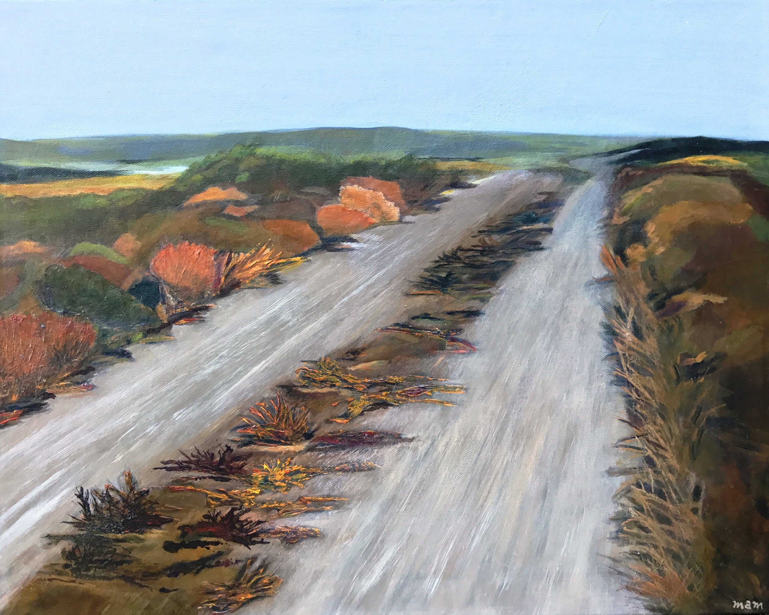 Desert Tracks | 20x16 | SOLD