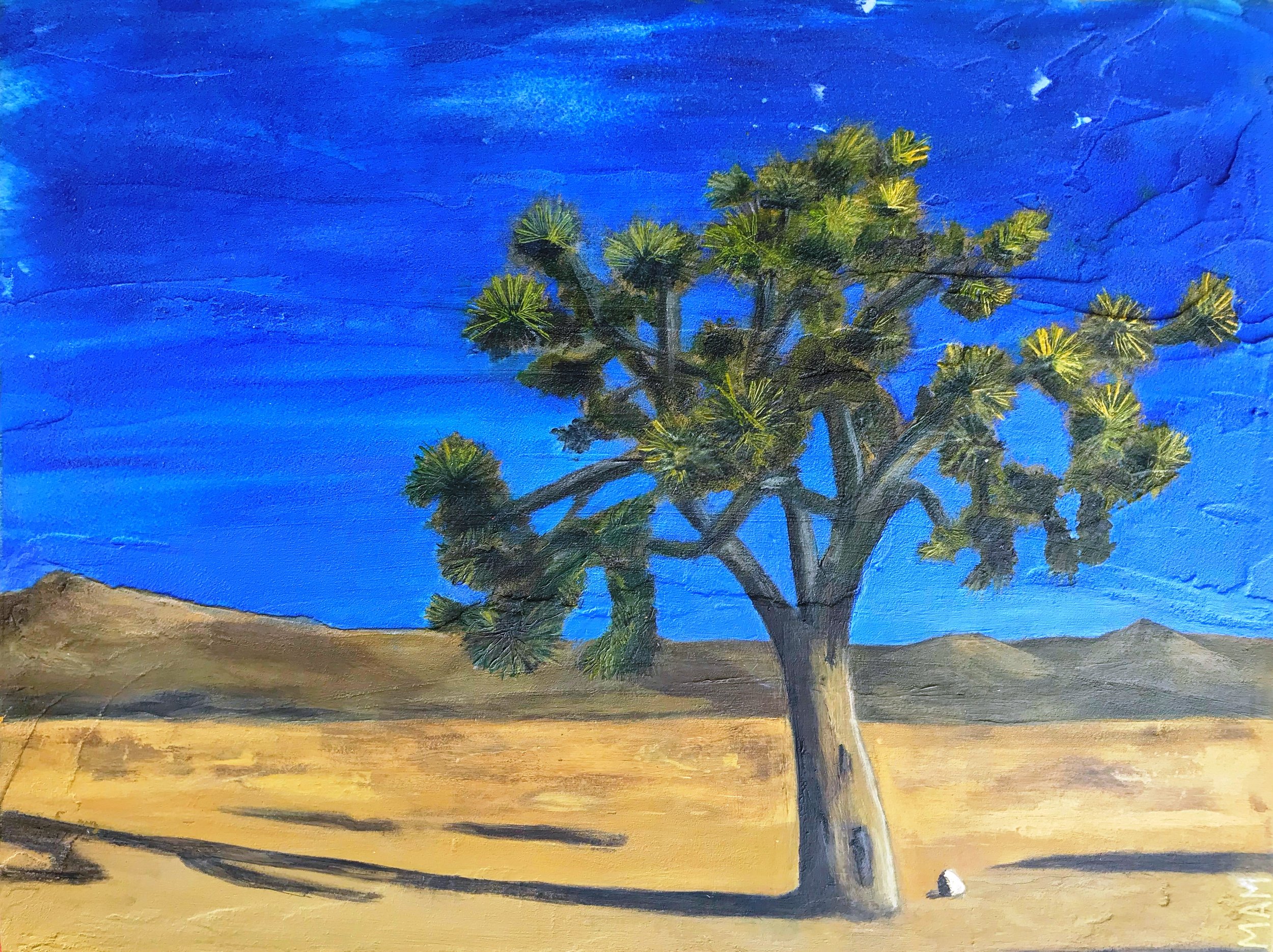 Joshua Tree | 9x12 | SOLD