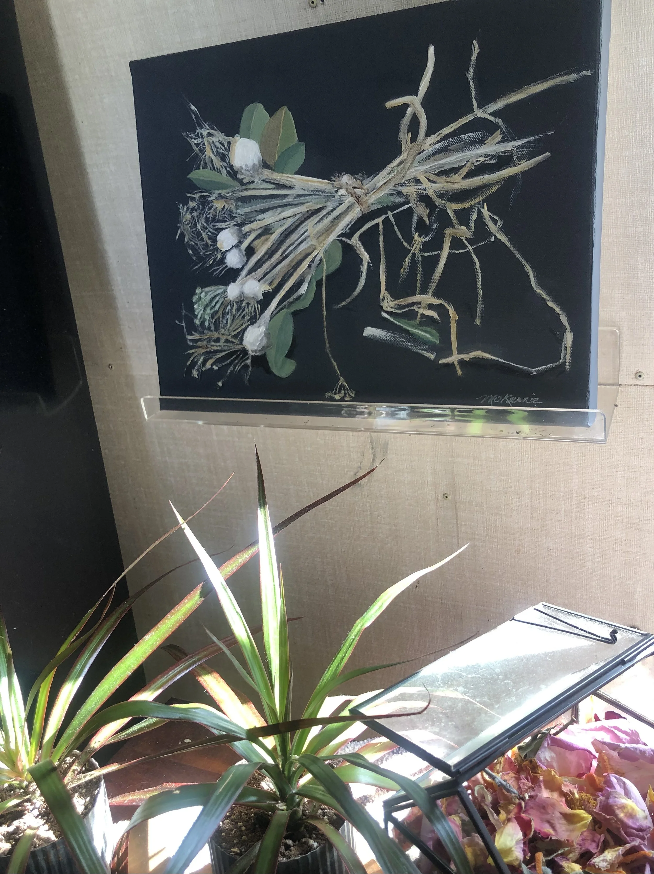 Summer Savory | 11x14