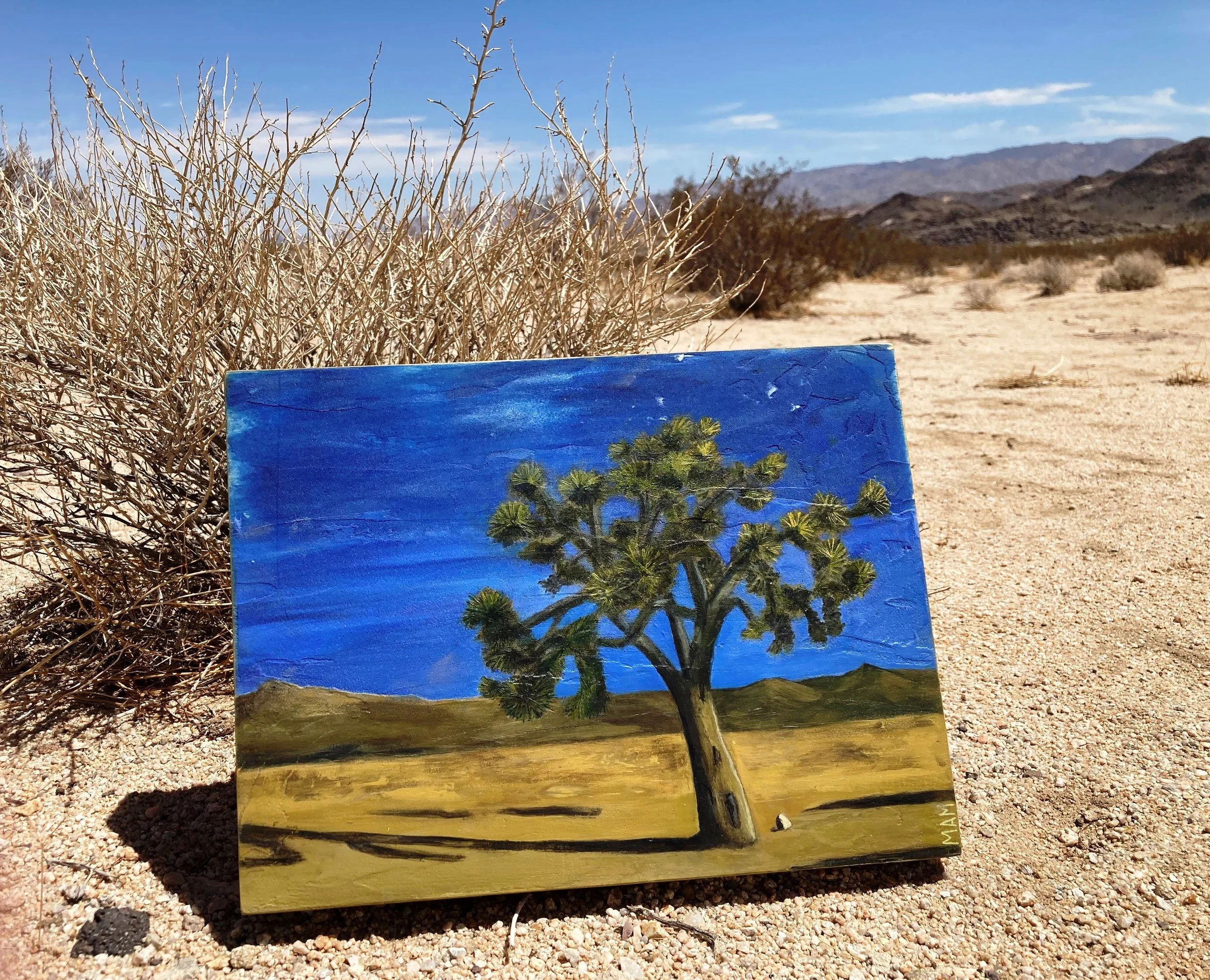 Joshua Tree | 9x12