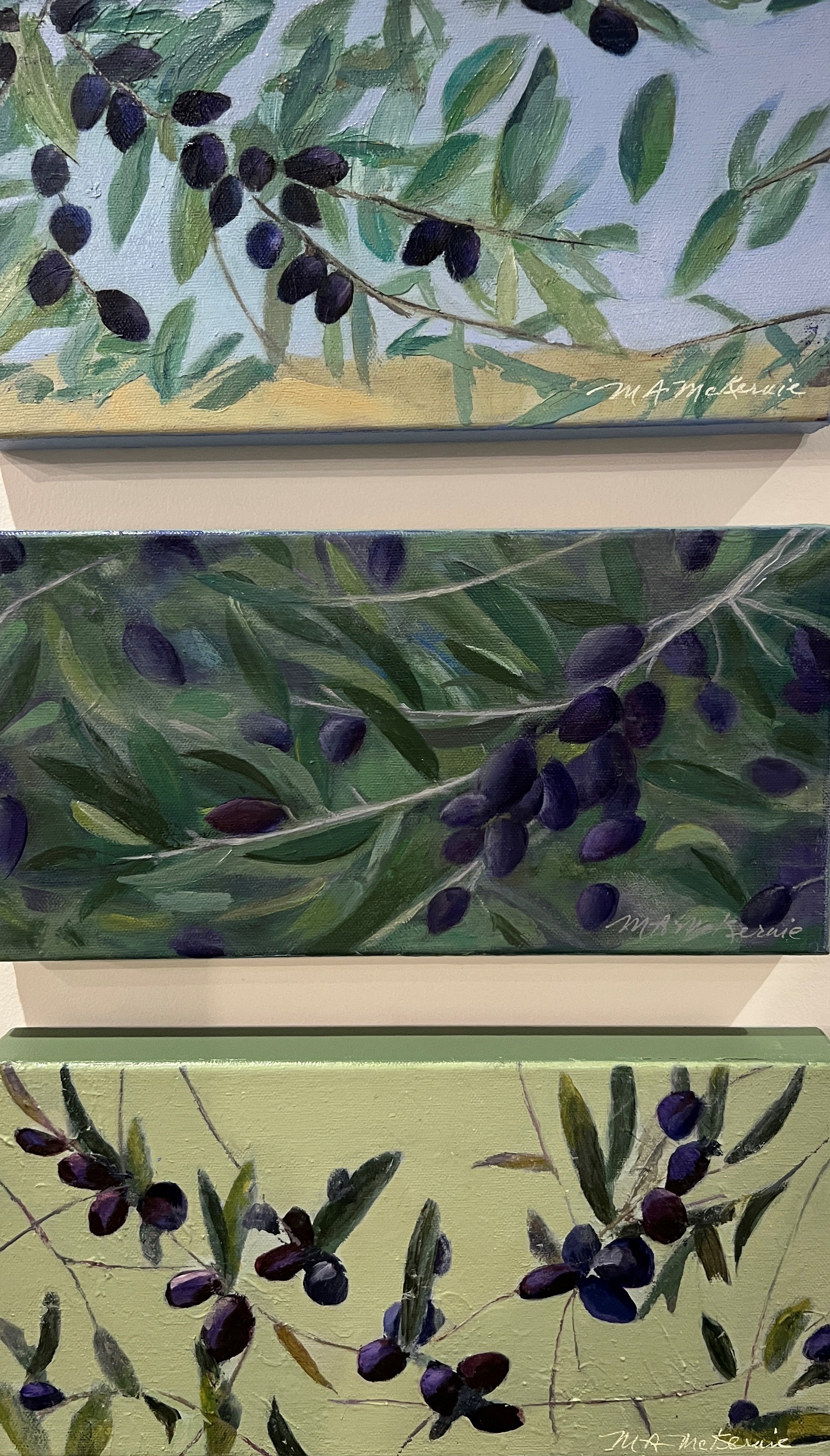 Olive trio | Three 6H 12W paintings | $800