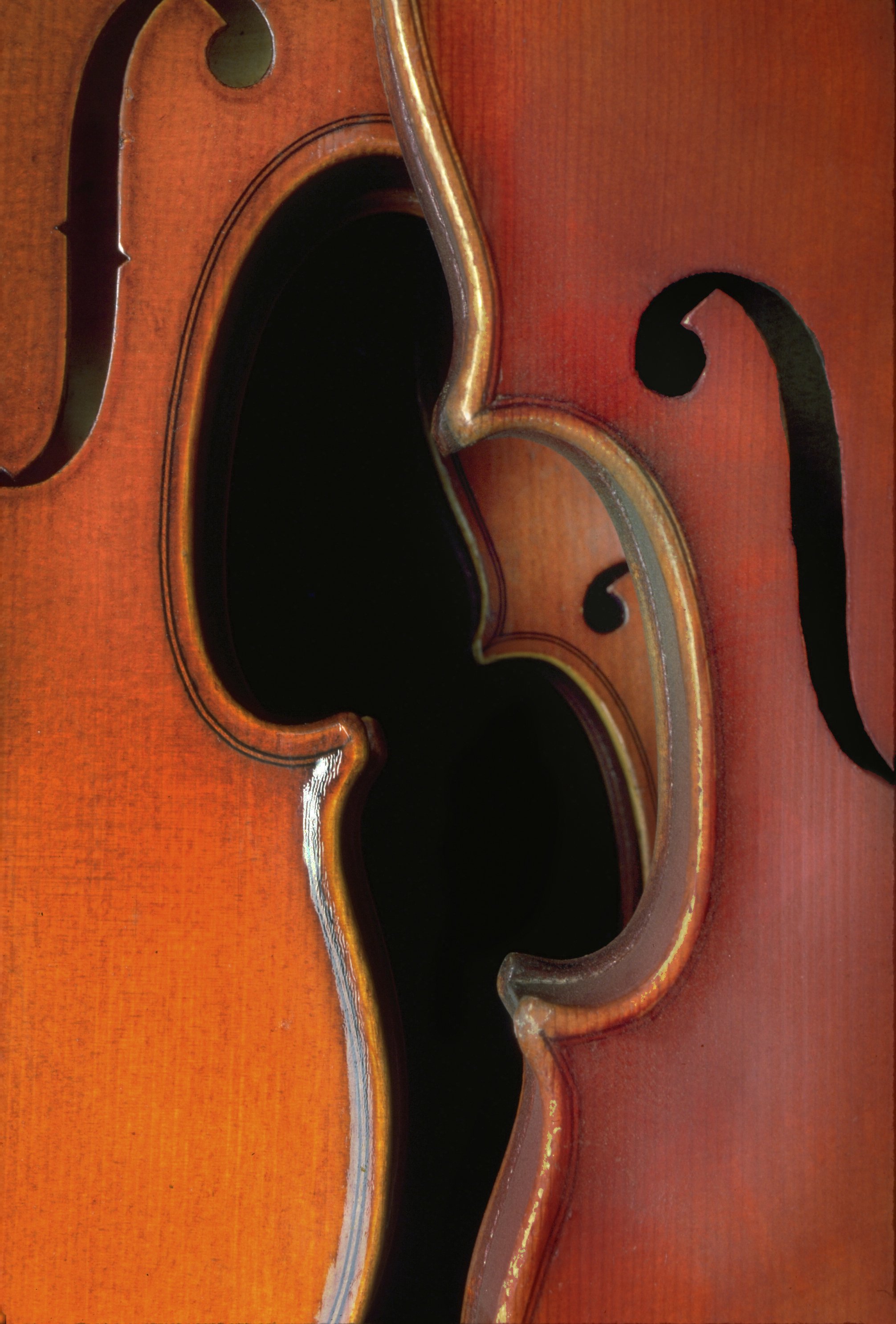 violins 2.jpg