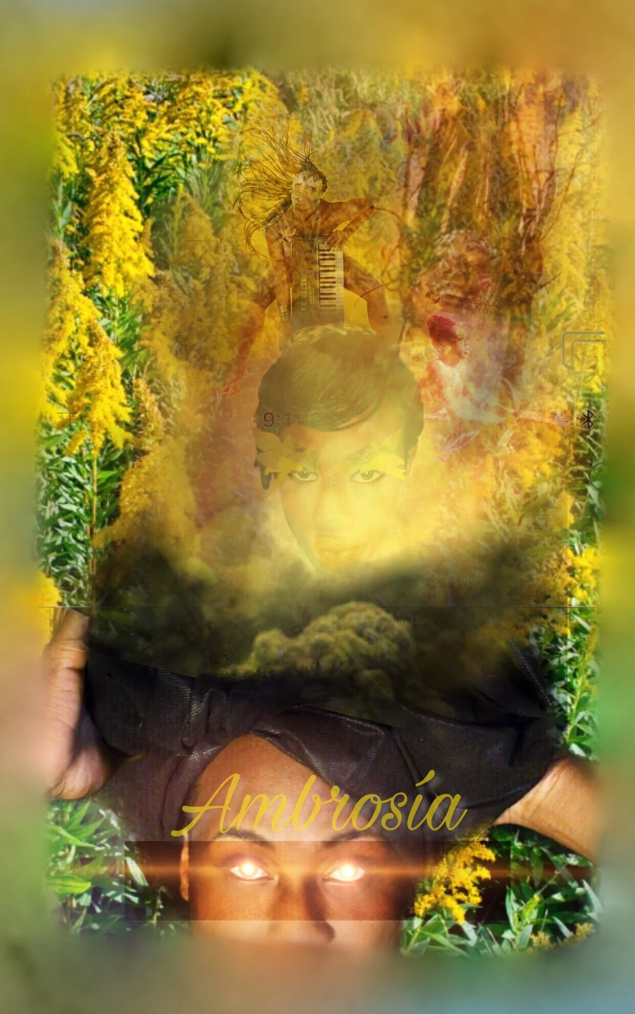 Ambrosia