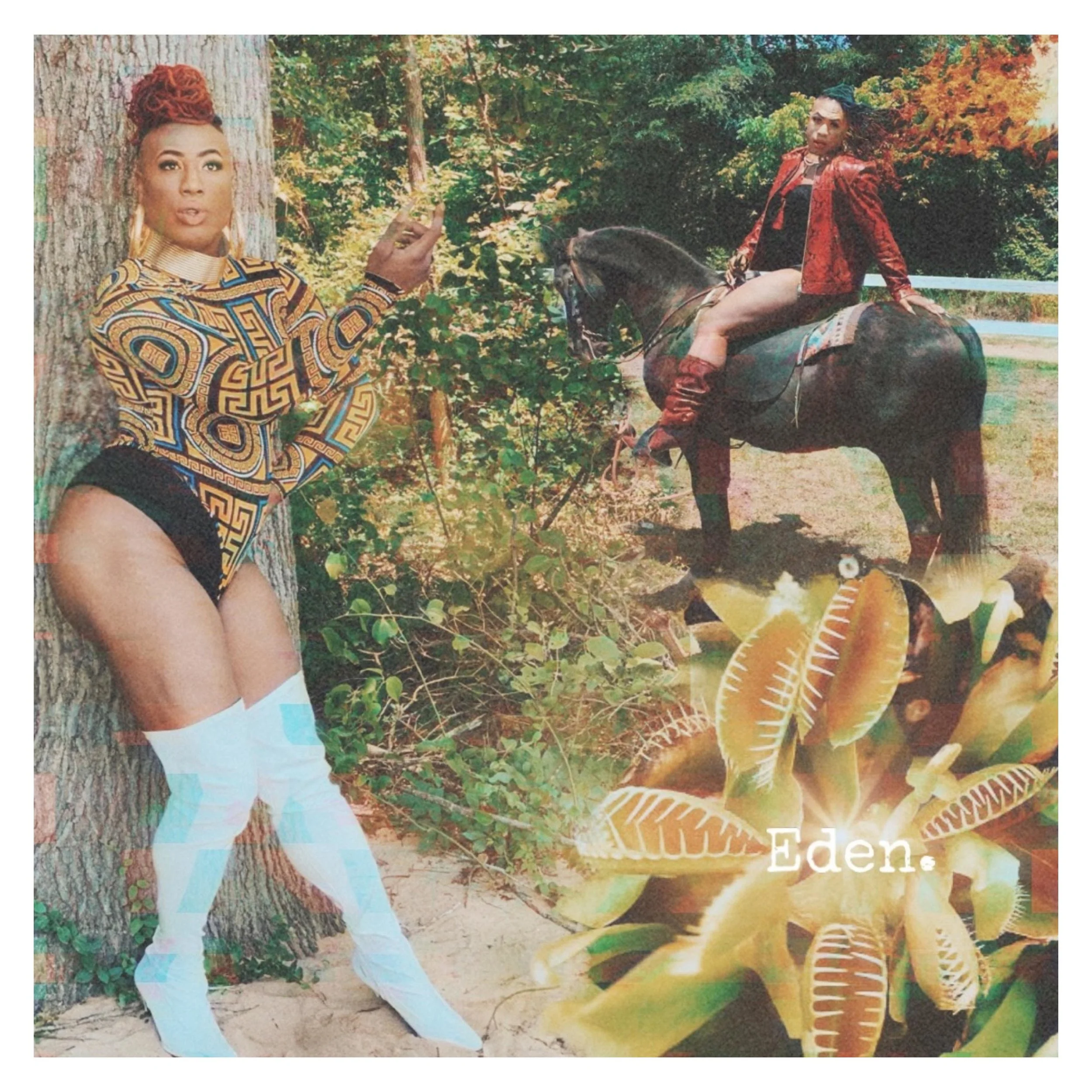 Front Cover.jpg