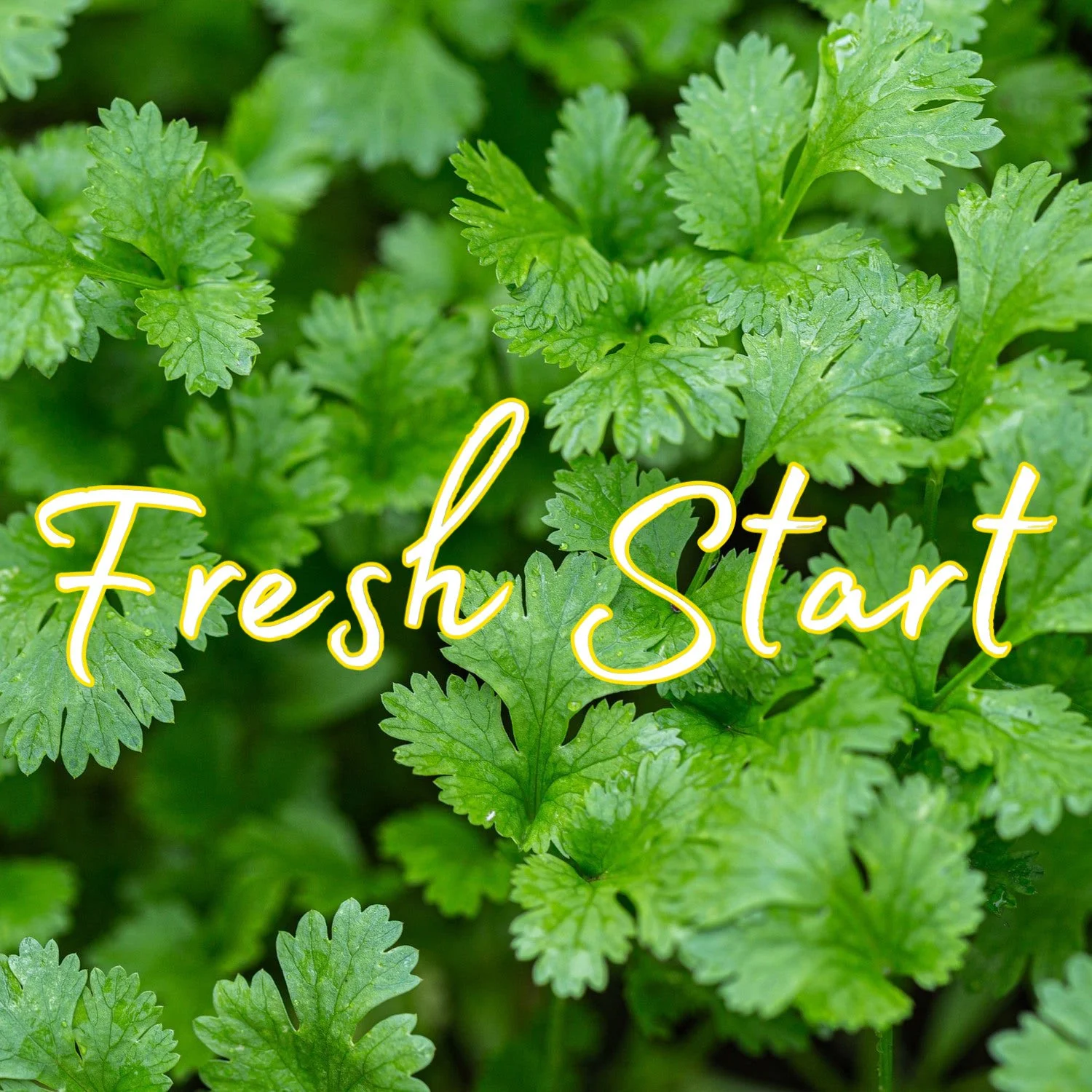 Fresh Start Incantation