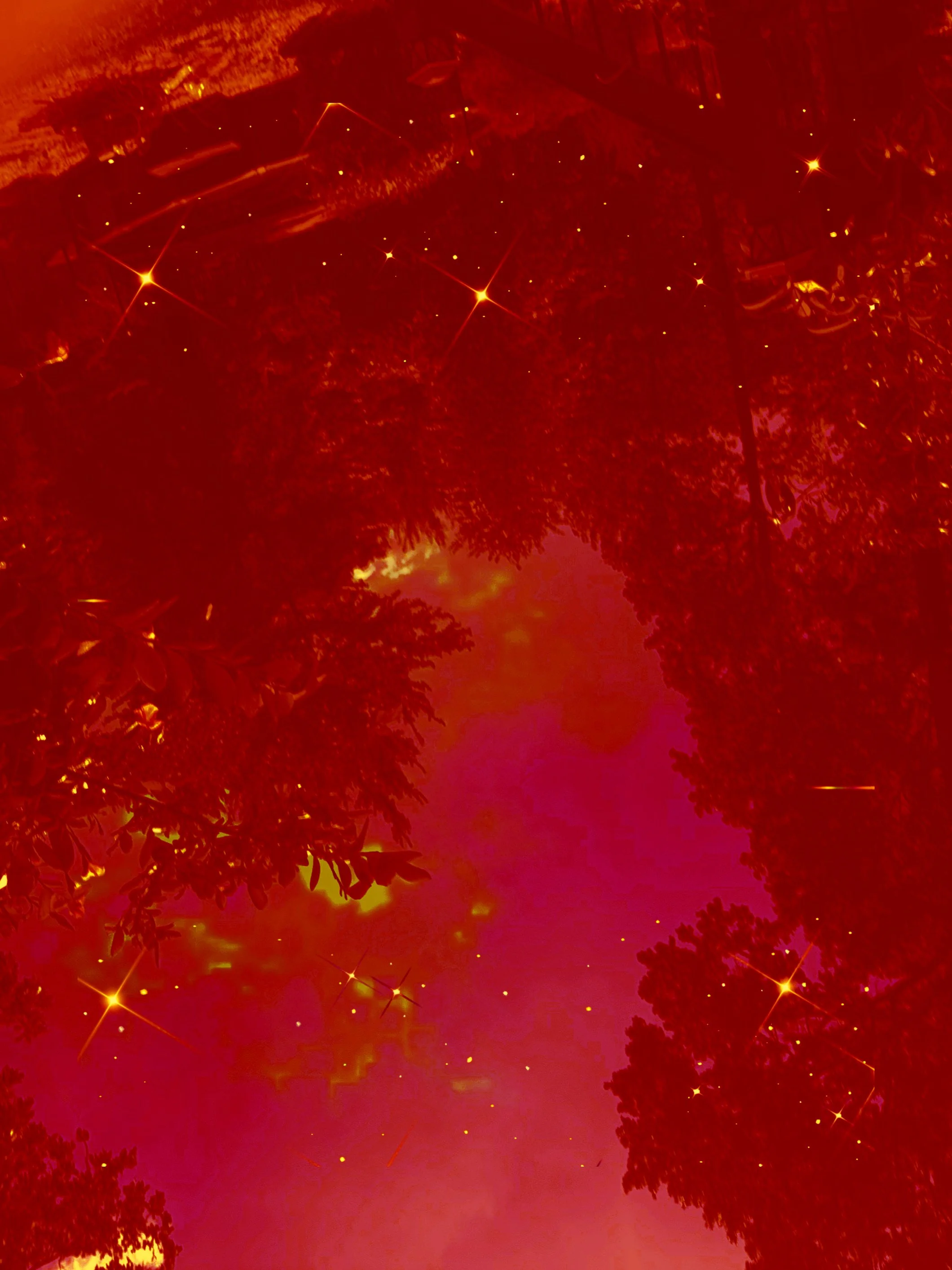 D6D5A7EB-2C76-43DA-AECD-04C507F88285.JPEG