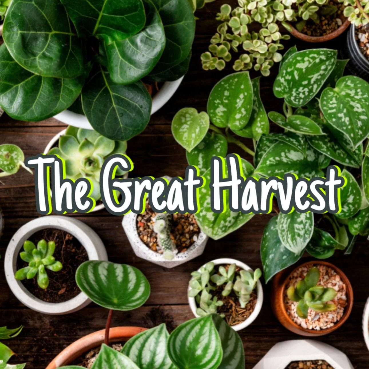 The Great Harvest Incantation
