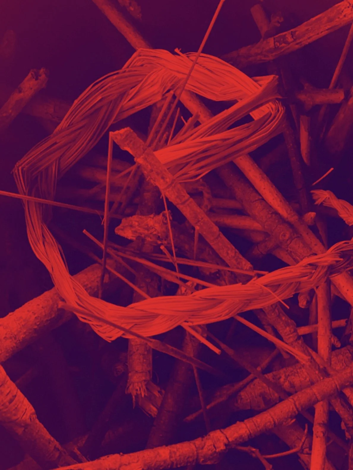 Revenge (Simple) Ritual