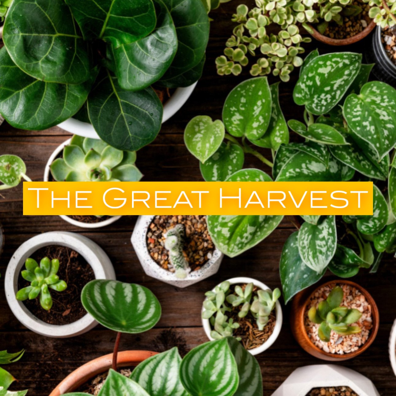 The Great Harvest Sigil