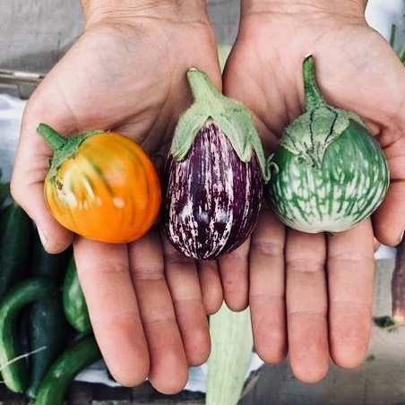 Has anyone had the opportunity to use market ingredients to make some goodies?? If so, what&rsquo;d you all make? 😊 Also, we only have one market left! Meet us on Wednesday at the Spokane Farmers Market for a great last day of the market season. #sp