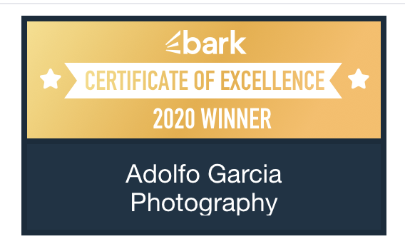 Screen Shot 2020-09-14 at 7.27.41 PM.png