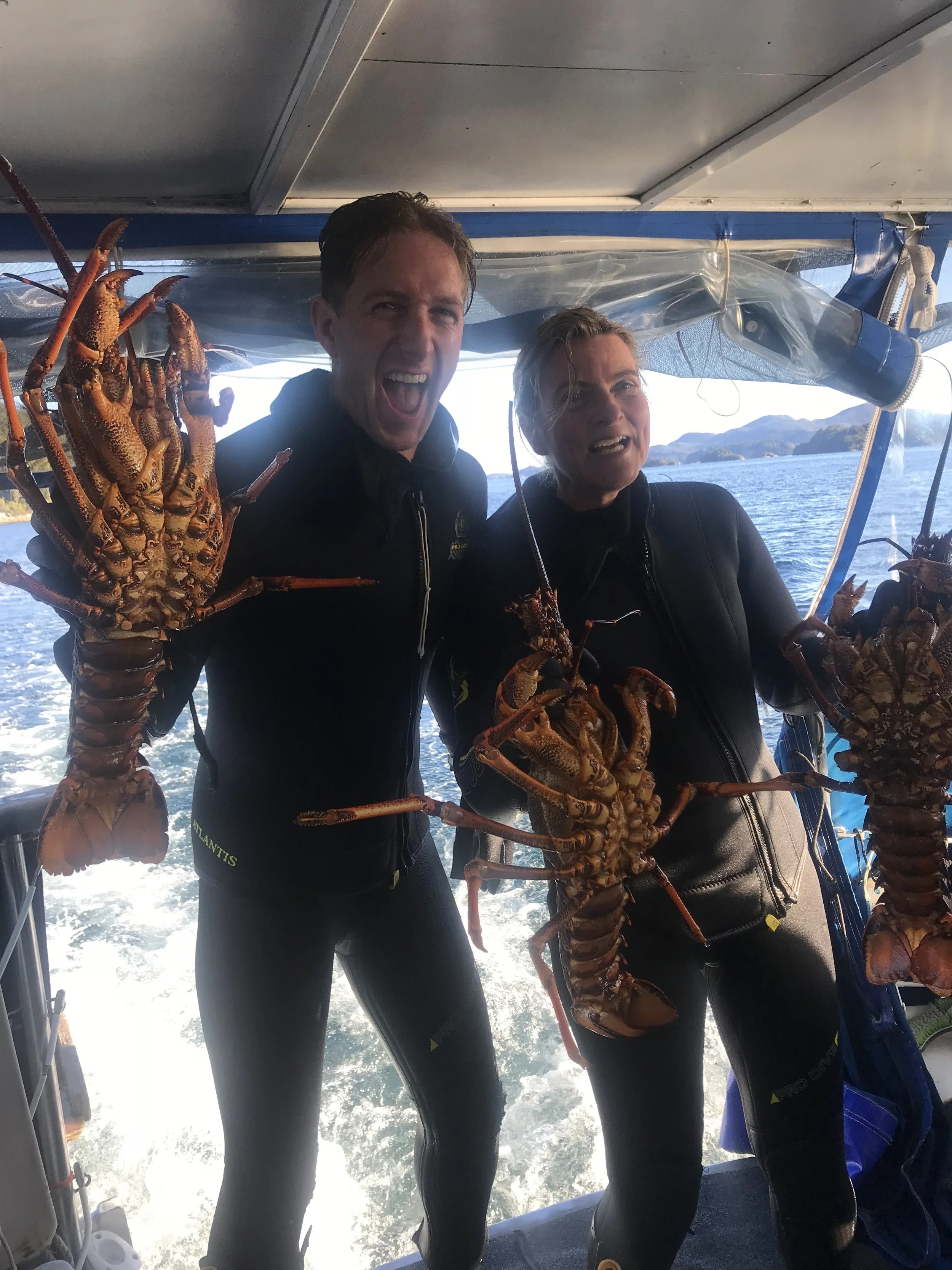 Fiordland With Wet Jacket Wines