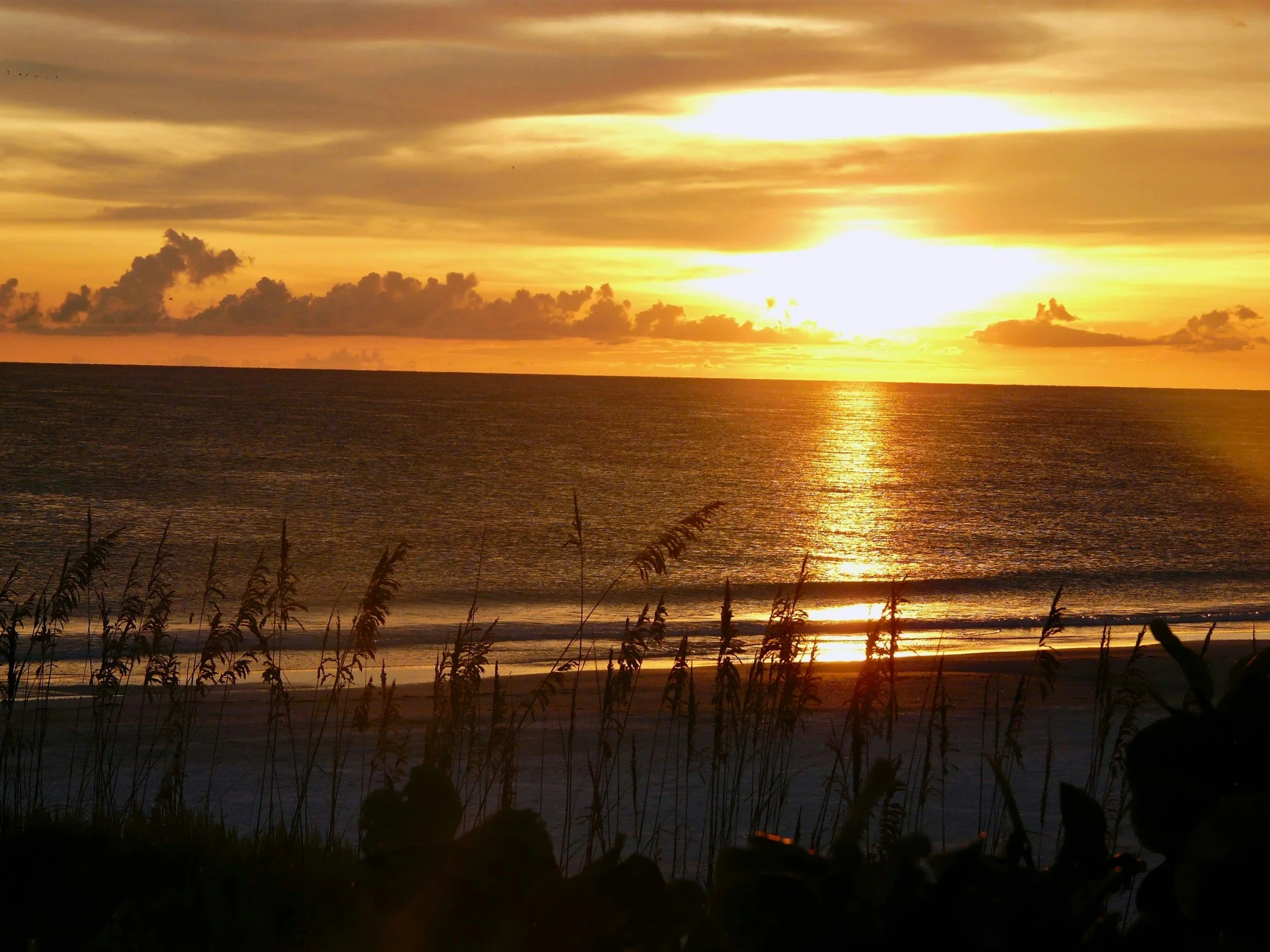 Breaking: Florida DBPR Issues Emergency Order to Streamline Hurricane Helene Recovery Efforts