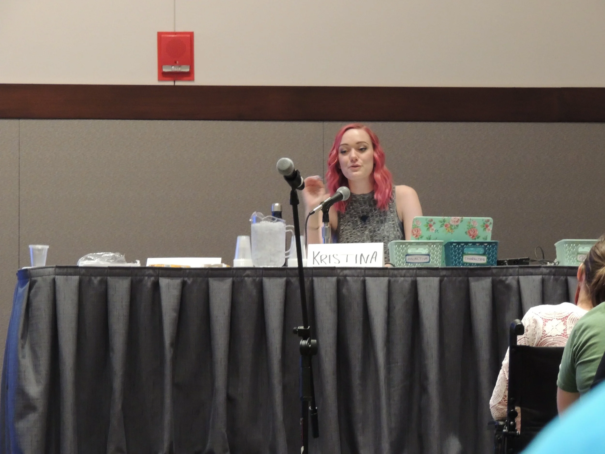Kristina Horner at Nerdcon: Nerdfighteria 2017