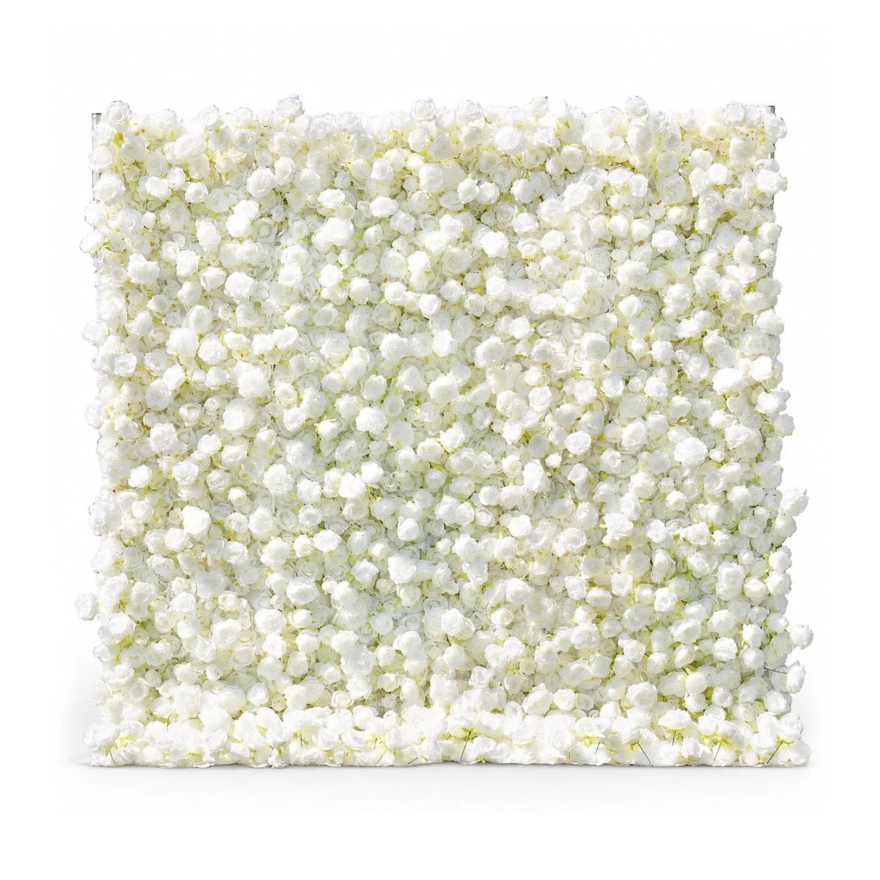 Ivory Flower Wall Rental - Droll Photobooth Co.