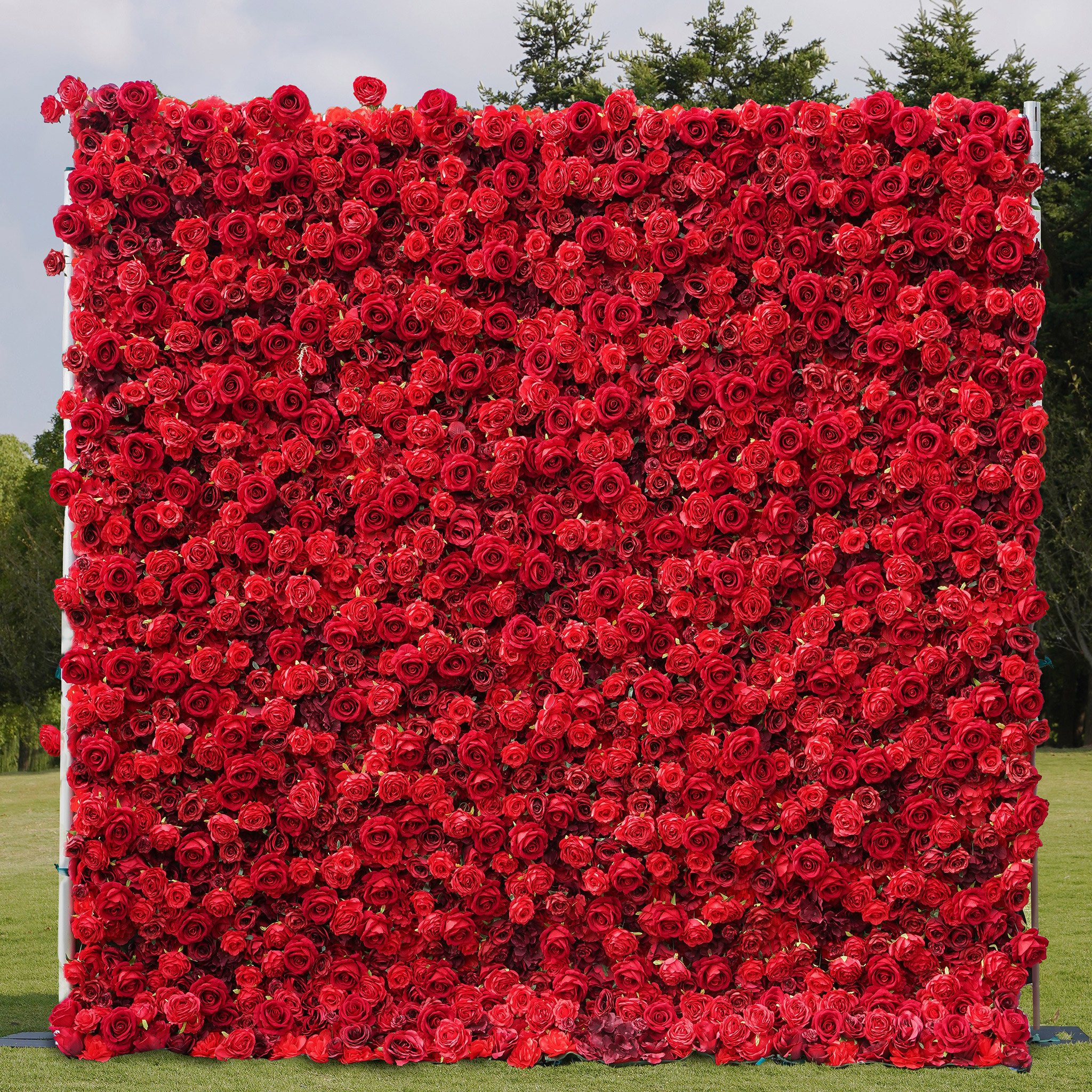 Rose Flower Wall