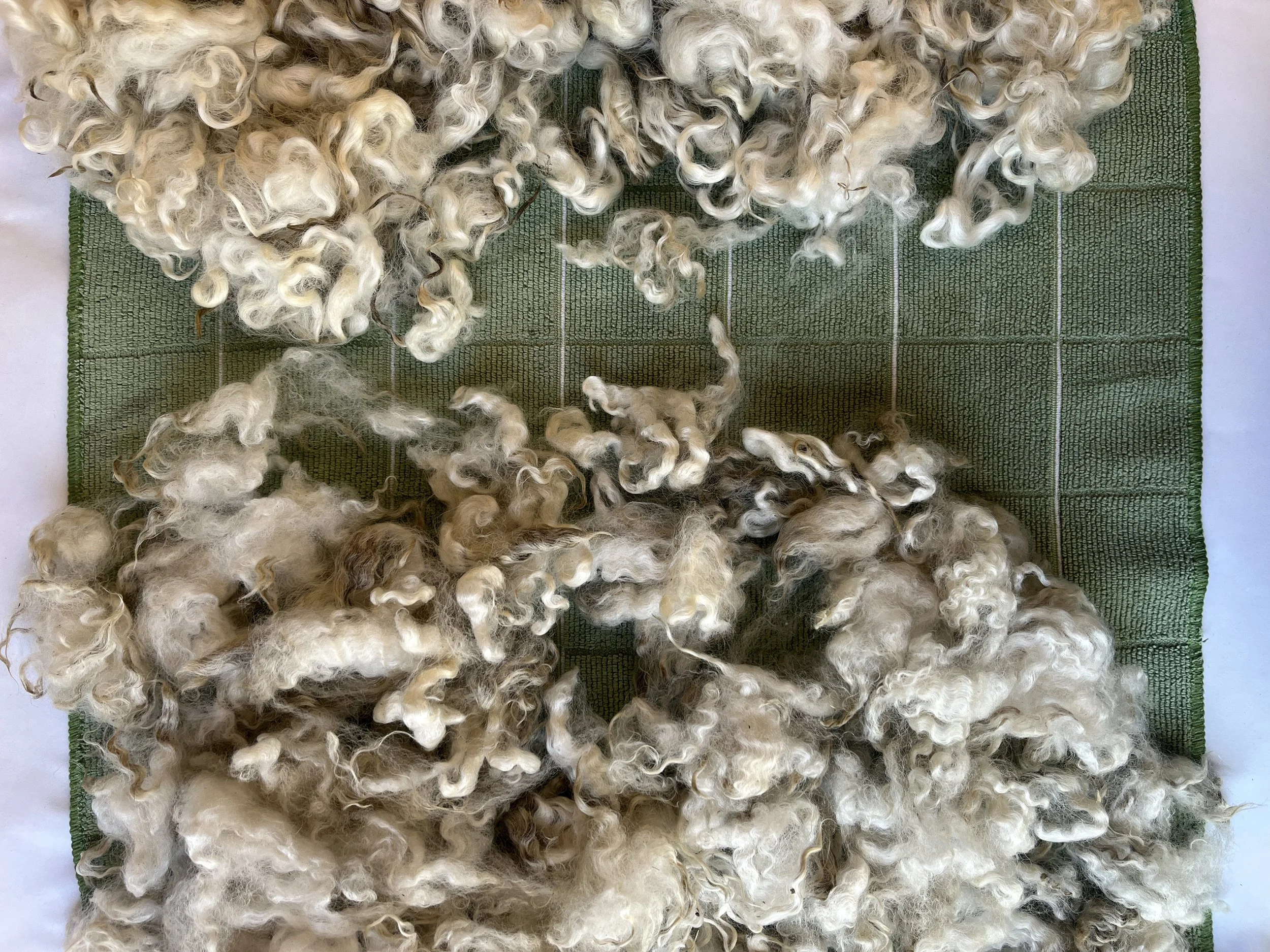farm_to_fiber_skirting.jpg
