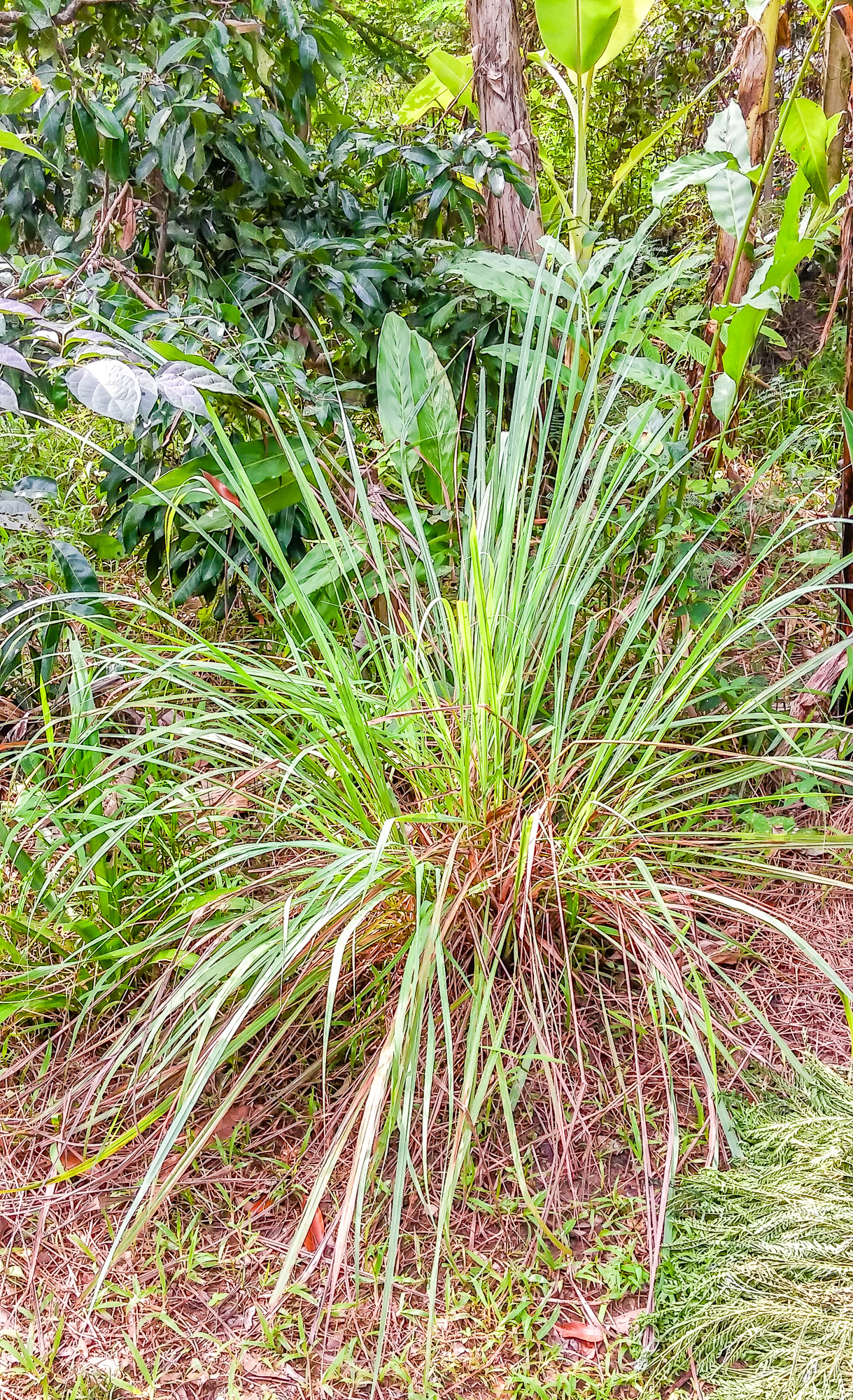 20161203_105600.jpg