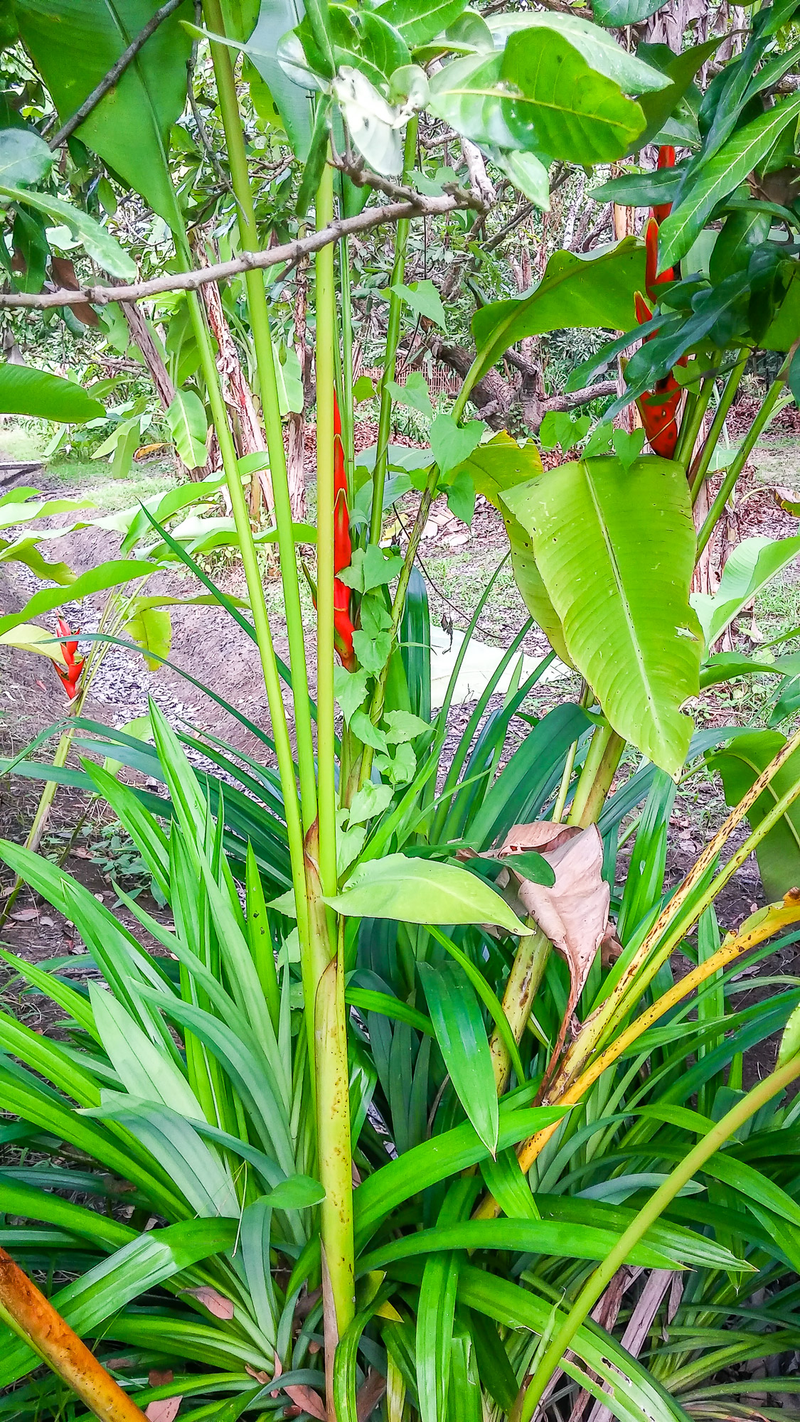 20161203_110228.jpg