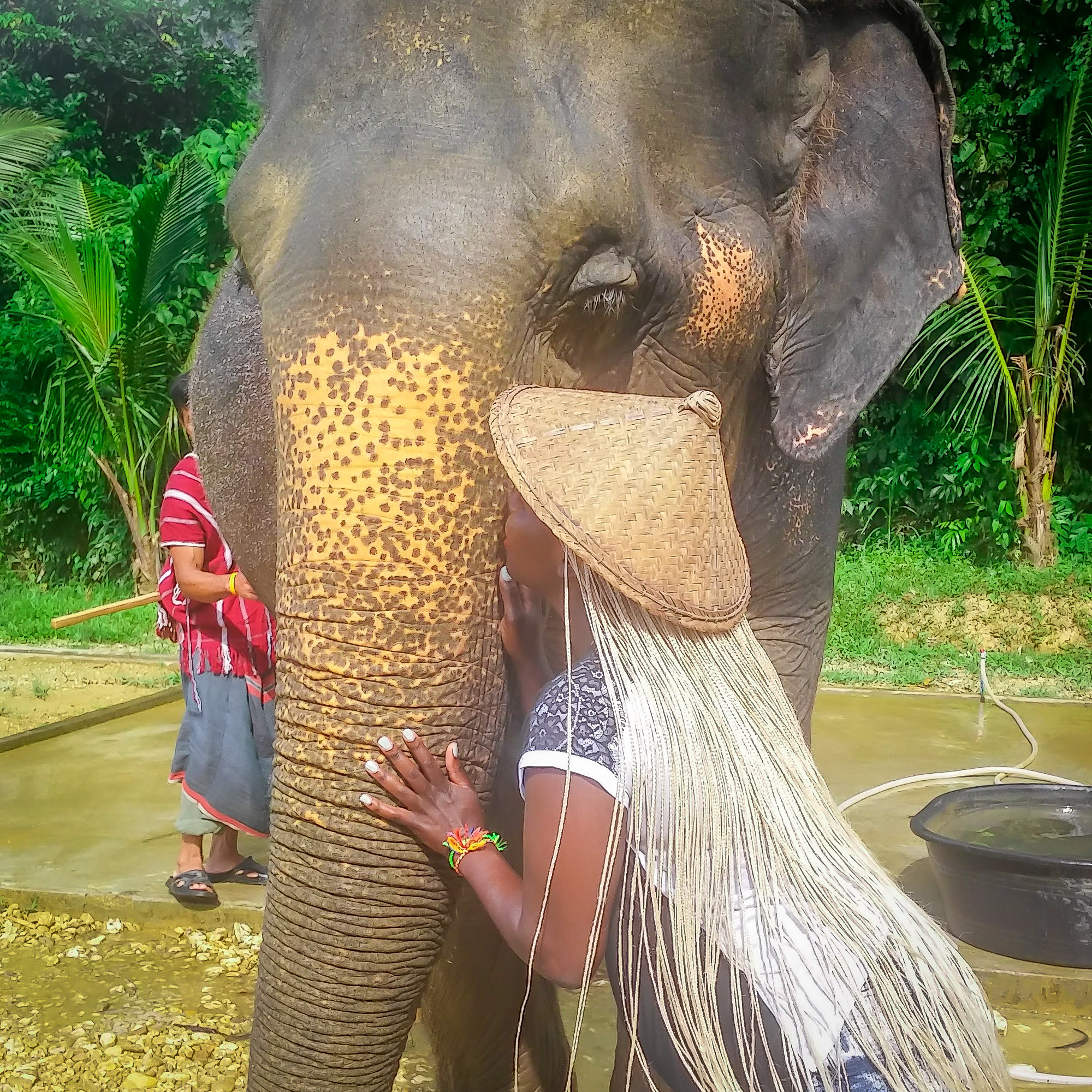 Elephant Hills Pic 1.jpg